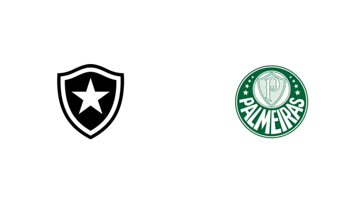Botafogo vs Palmeiras