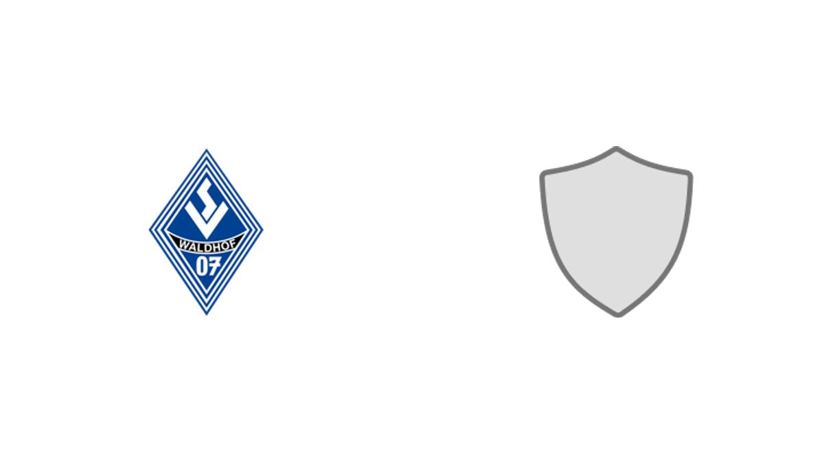 Waldhof Mannheim vs Hoffenheim II