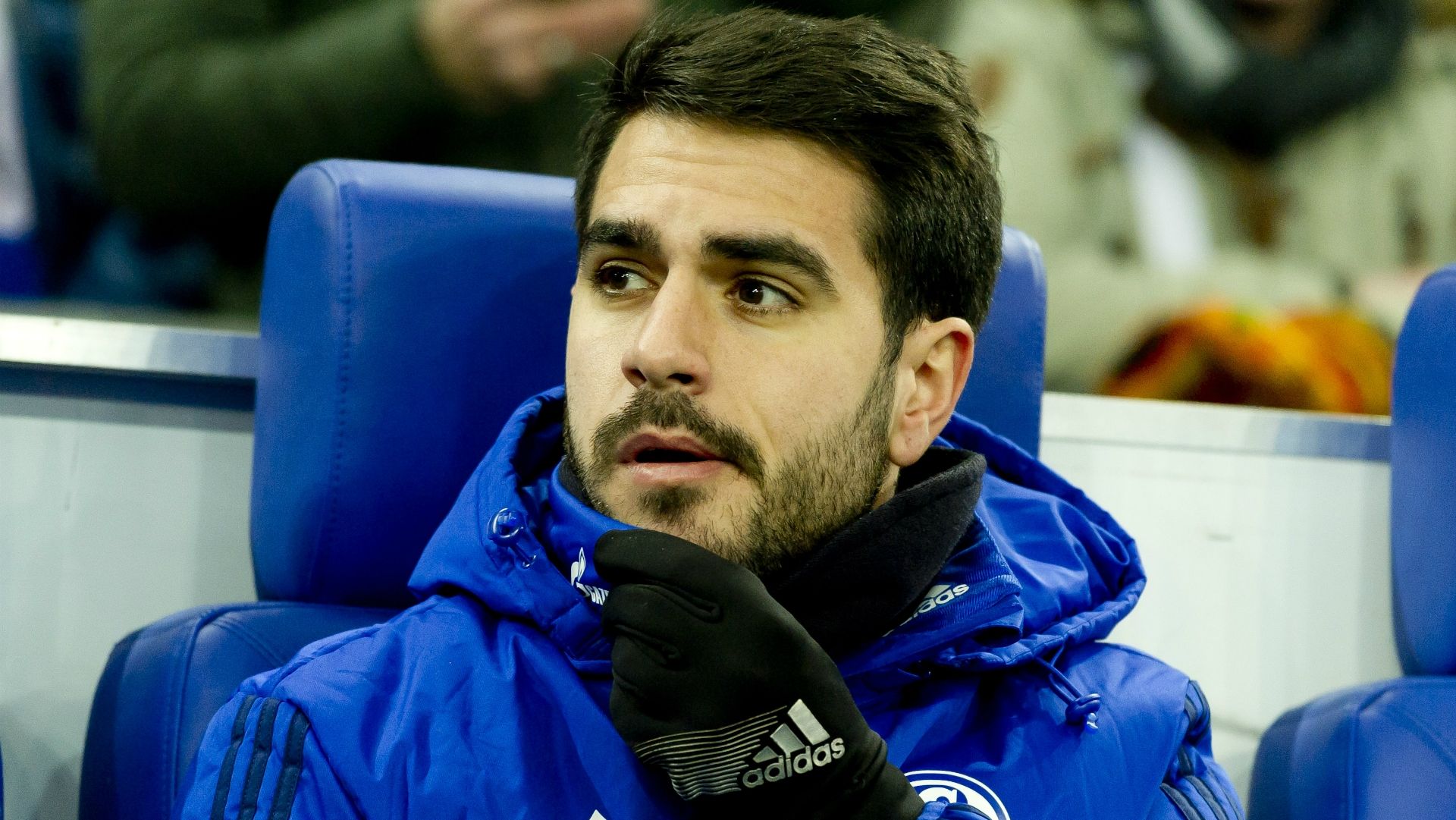 Schalke 04 Pablo Insua Saison 2017/18