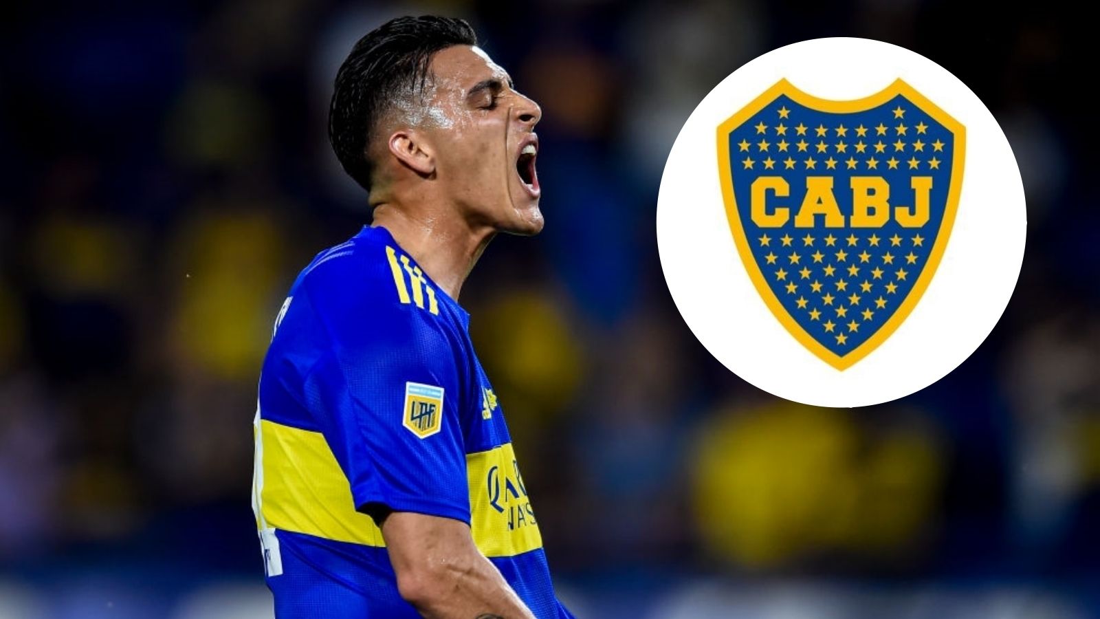 Escudo de Boca, significado y estrellas