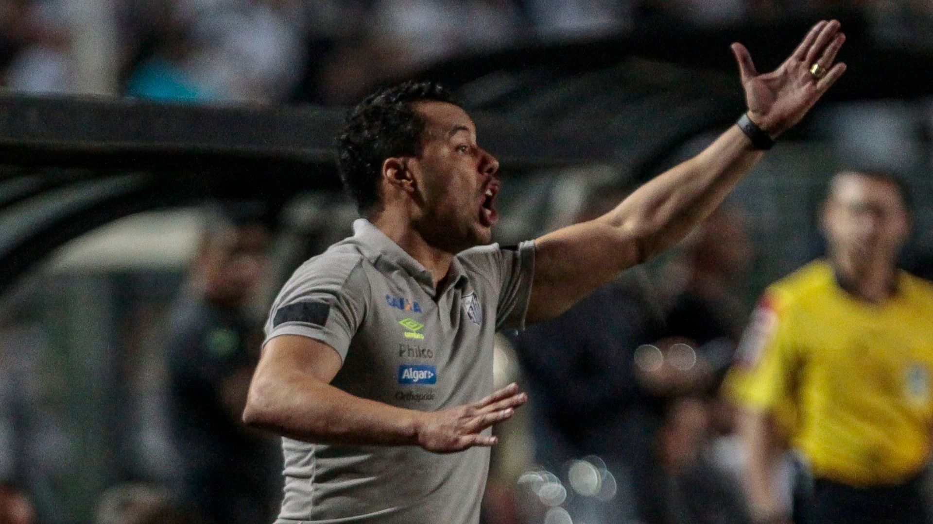 Jair Ventura Santos Palmeiras Brasileirao Serie A 19072018
