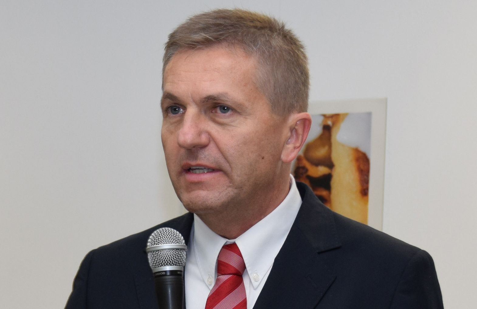 Vámos Tibor