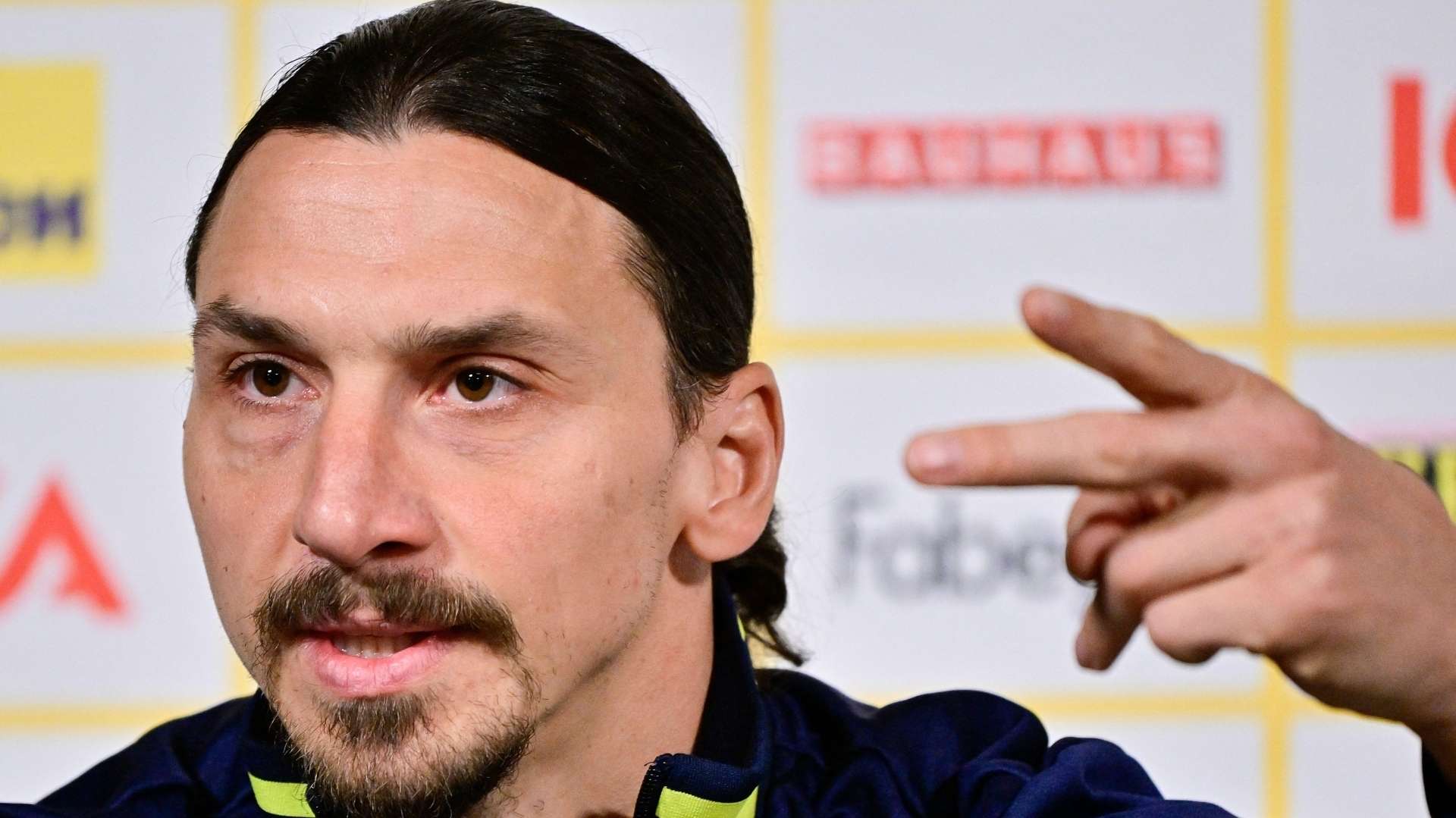 Zlatan Ibrahimovic Sweden