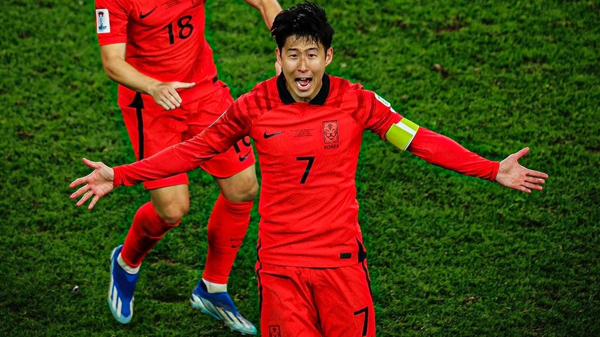 韓国 男子バレーボール 한국전력 VIXTORM イムソンジン ユニフォーム 韓国 男子バレーボール 한국전력 VIXTORM イムソンジン