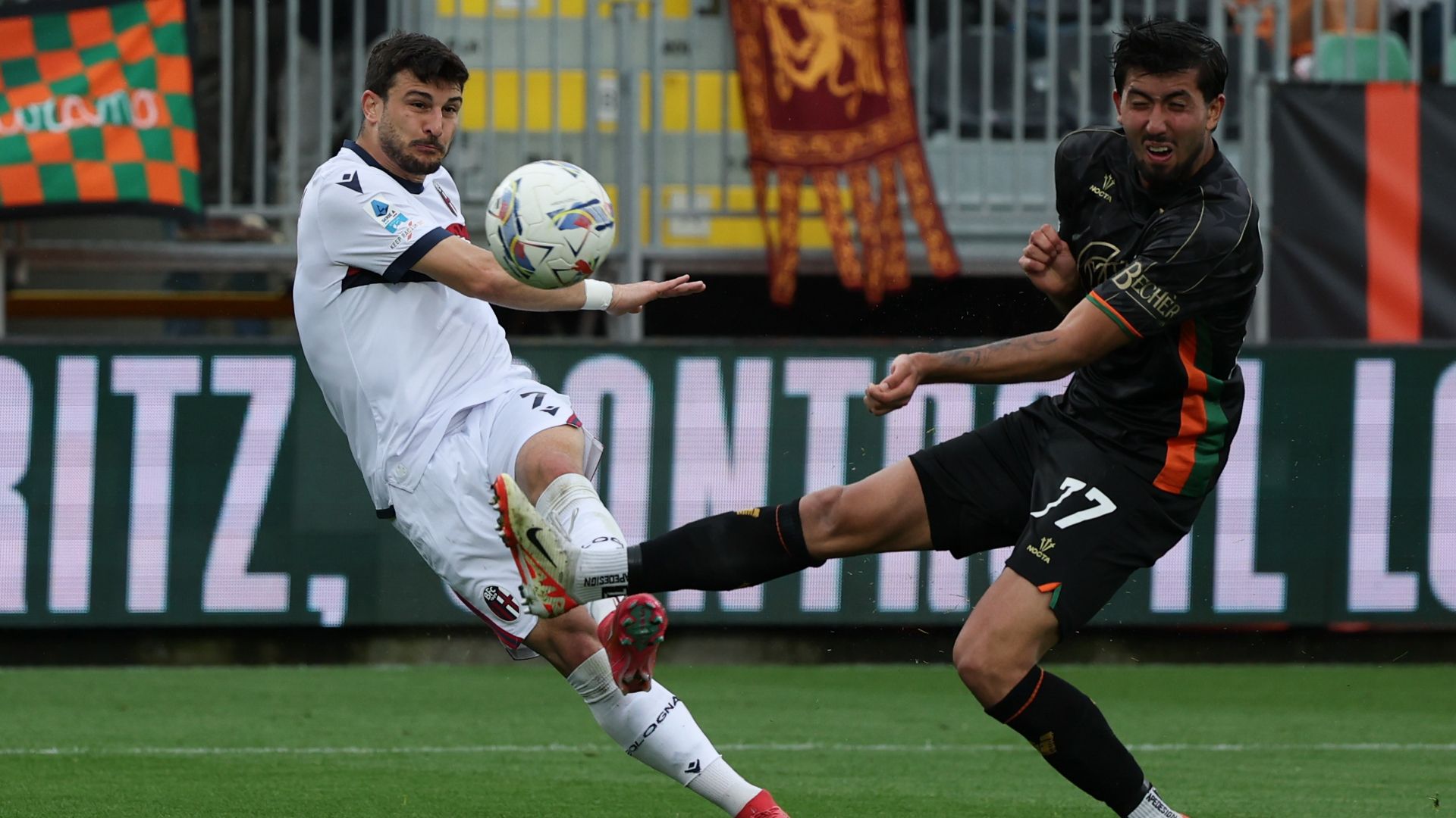 Orsolini Venezia Bologna