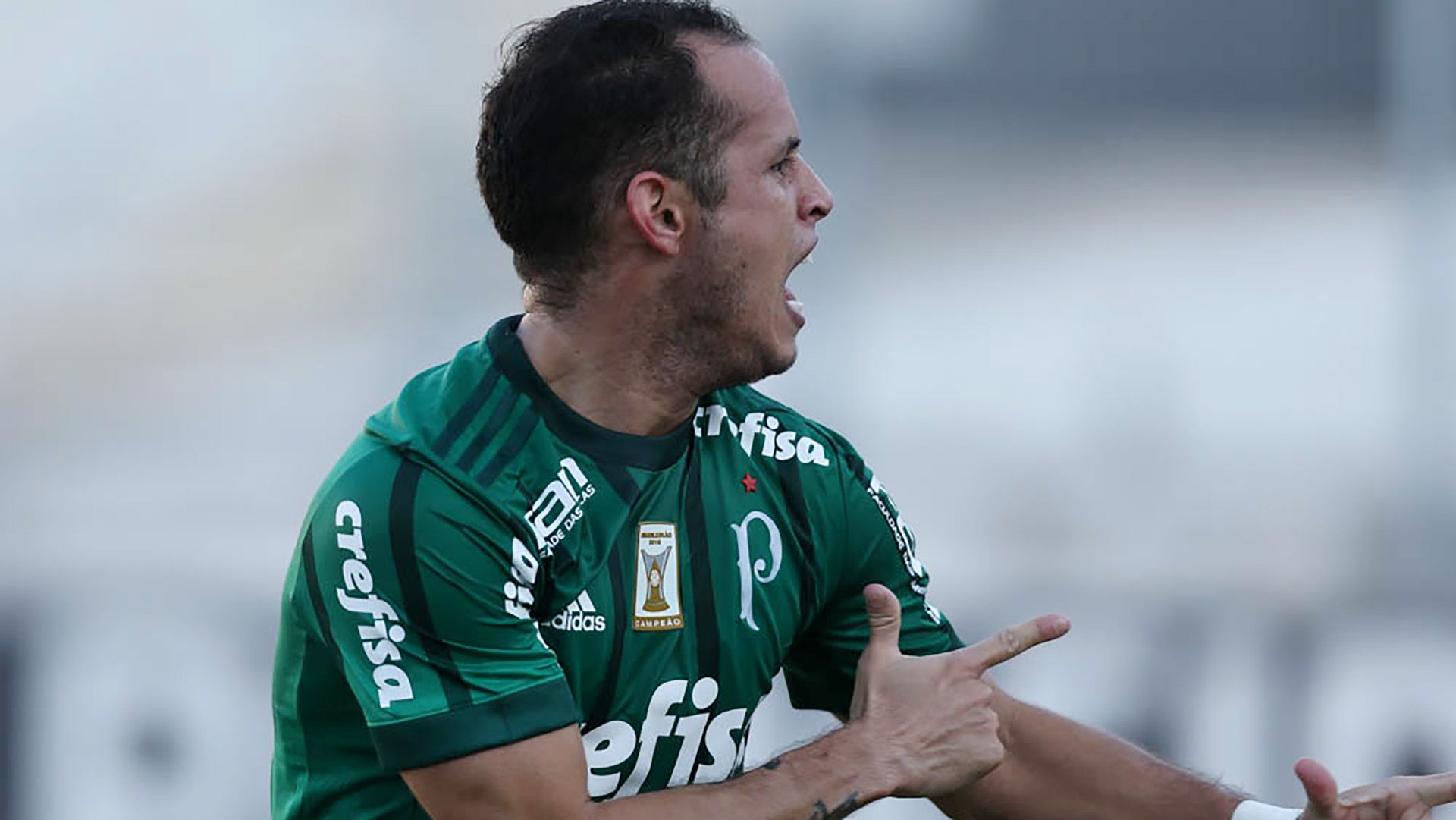Ponte Preta Palmeiras Brasileirao Serie A 25062017