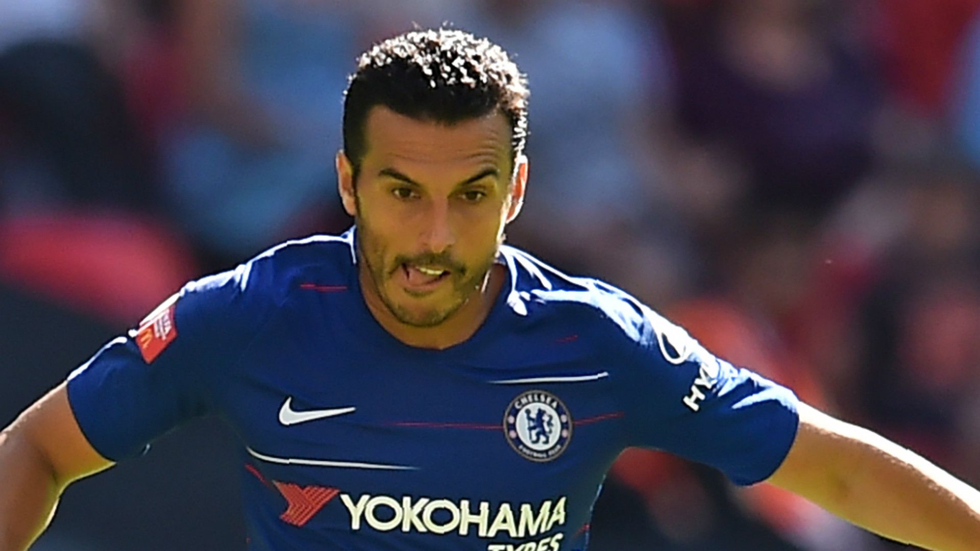 Pedro Chelsea 2018-19