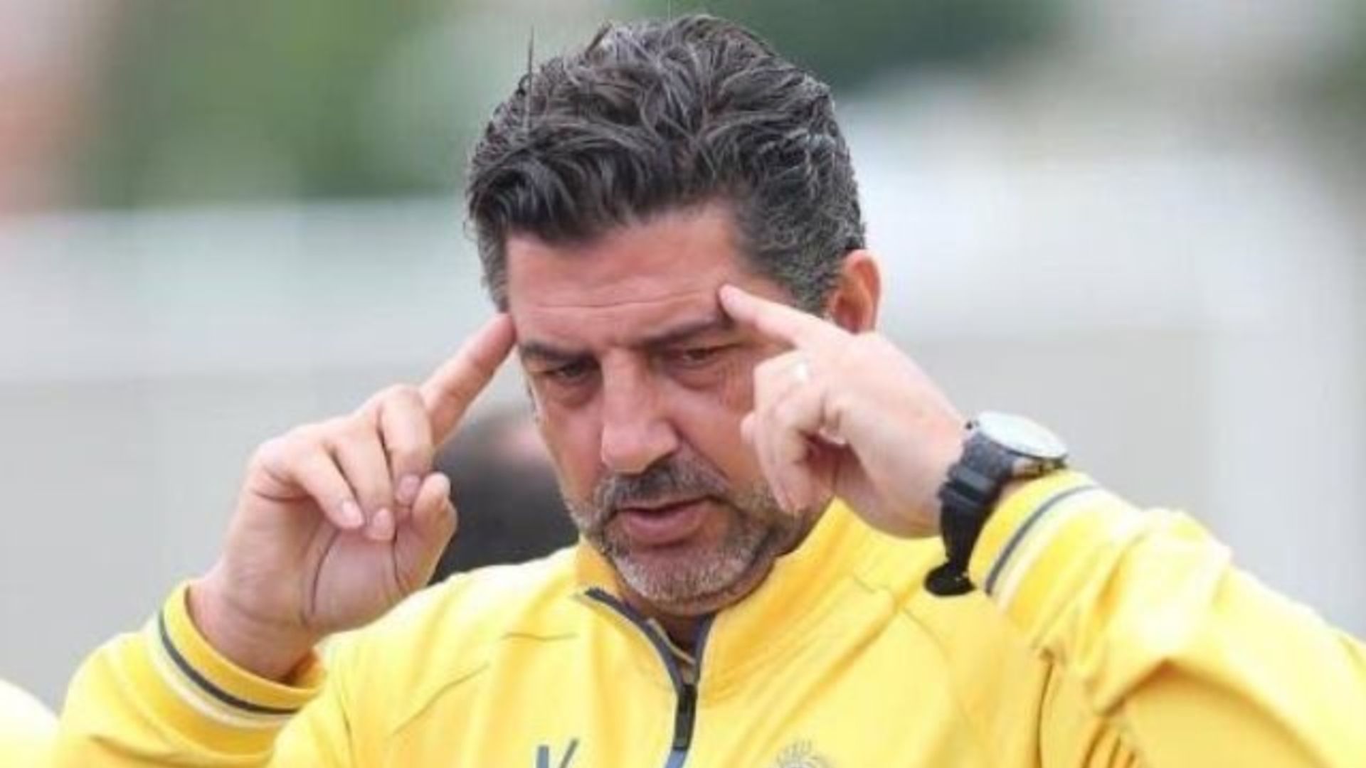 روي فيتوريا