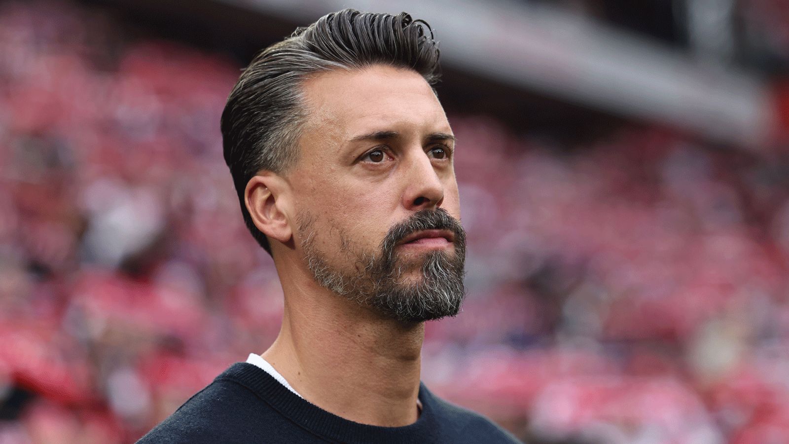 Sandro Wagner
