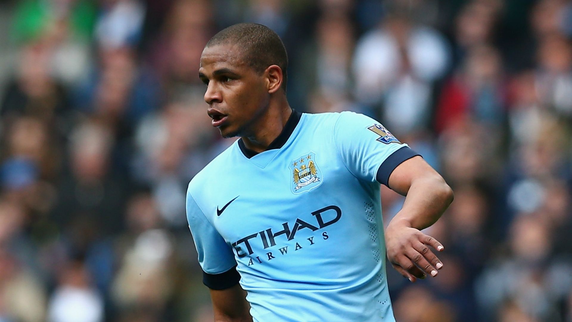 Fernando Manchester City