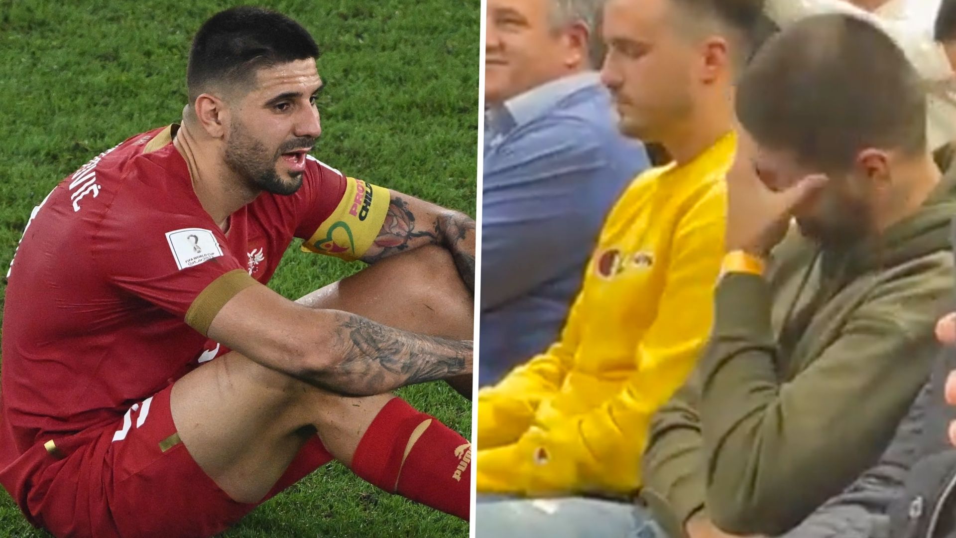 GFX Aleksandar Mitrovic