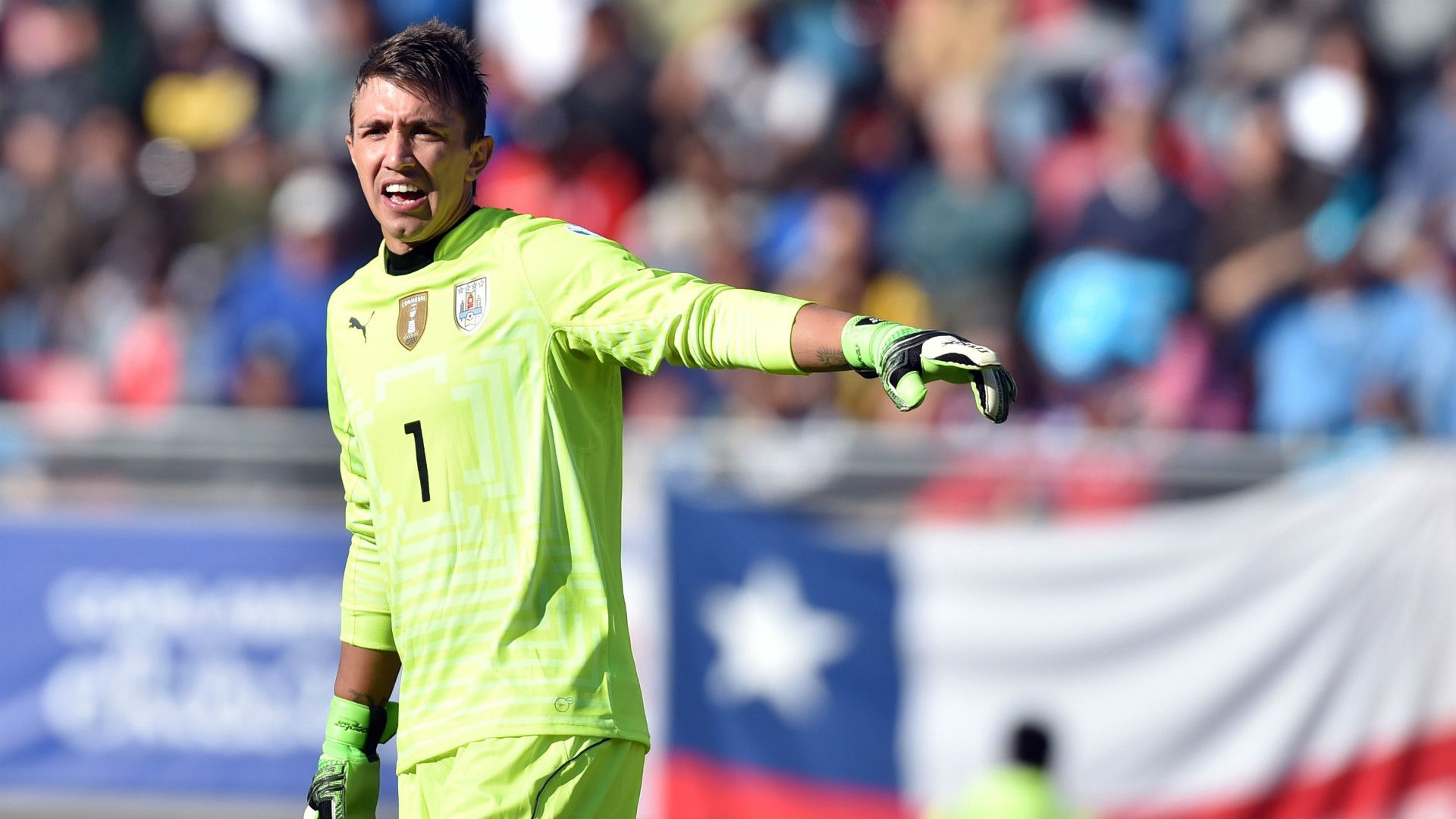 Muslera Uruguay Paraguay Copa América 20062015