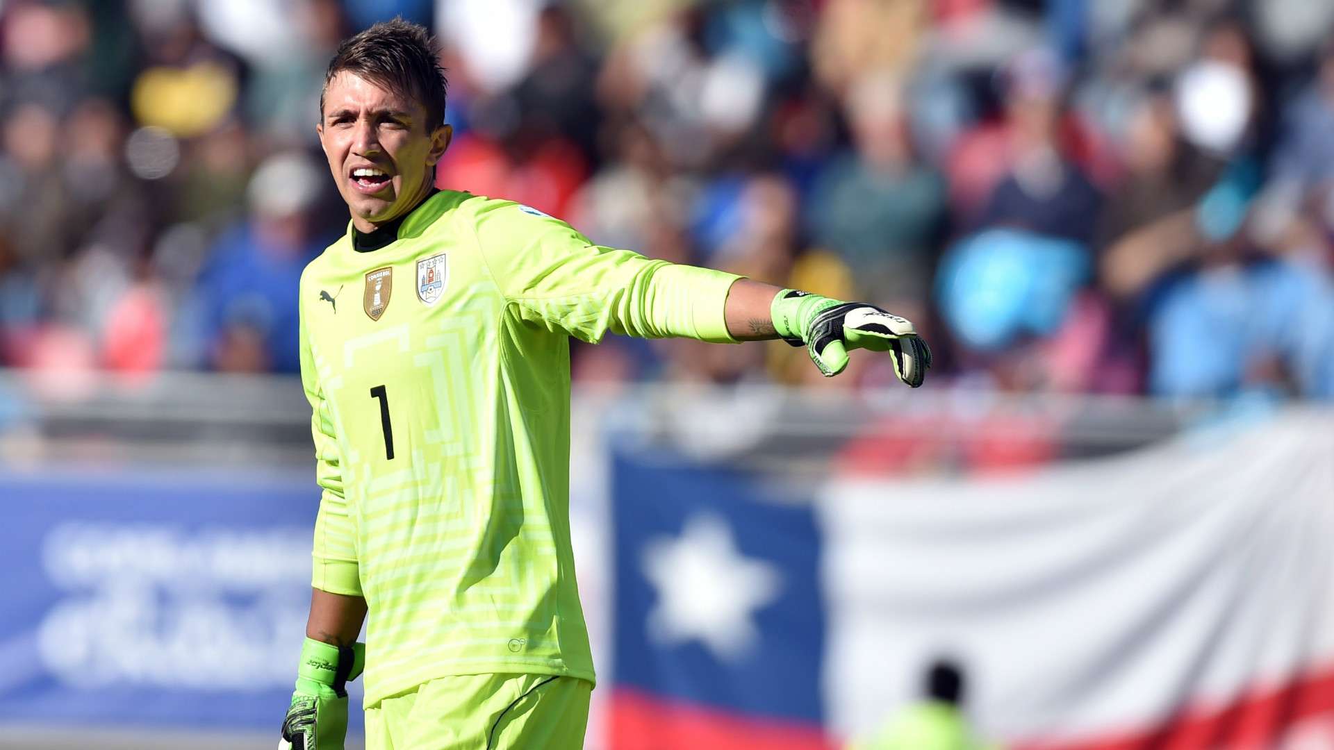 Muslera Uruguay Paraguay Copa América 20062015