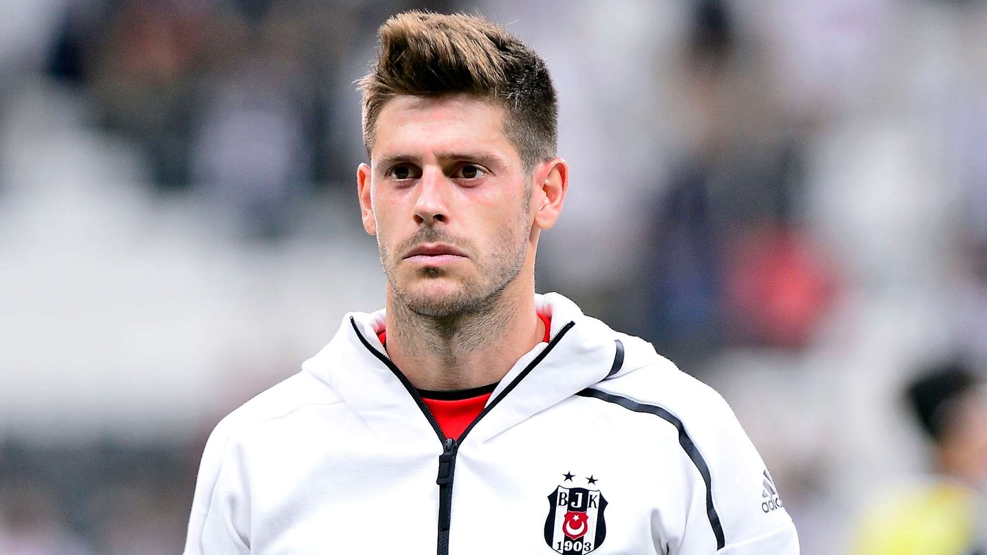 Fabri Besiktas