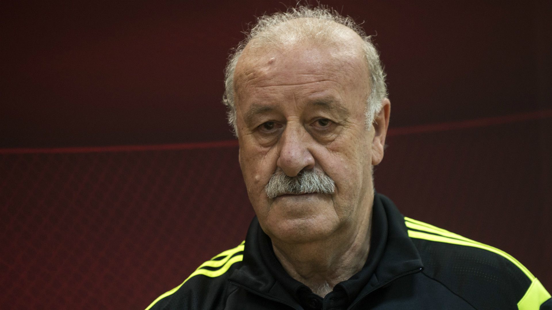 Vicente del Bosque Spain