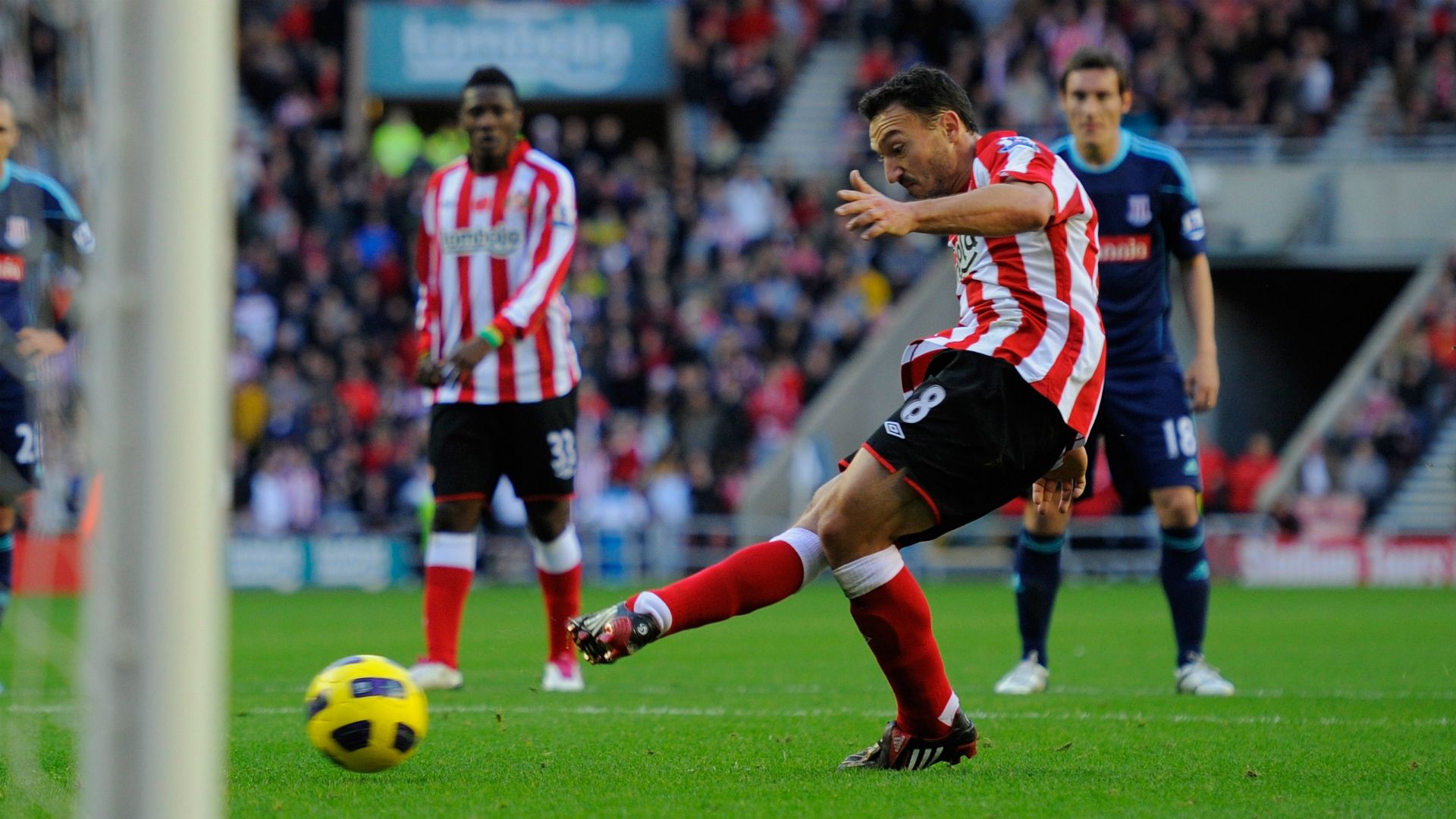 steed malbranque - cropped