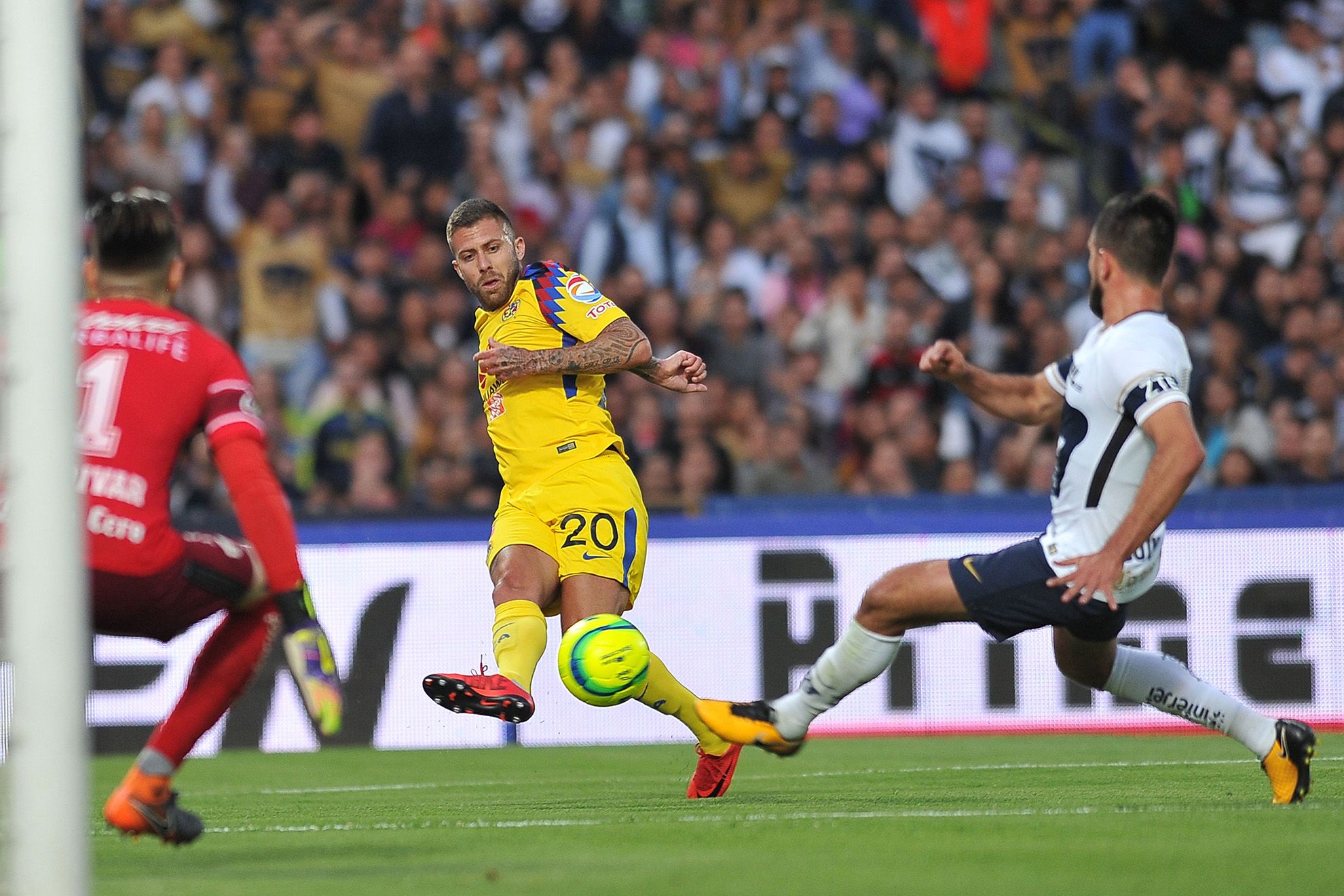 Pumas América