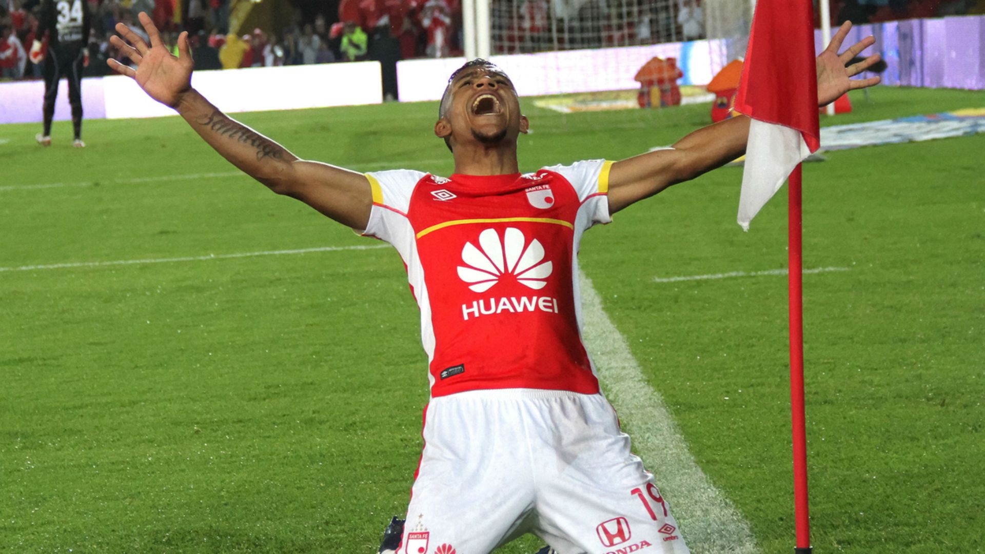 Wilson Morelo gol - Santa Fe