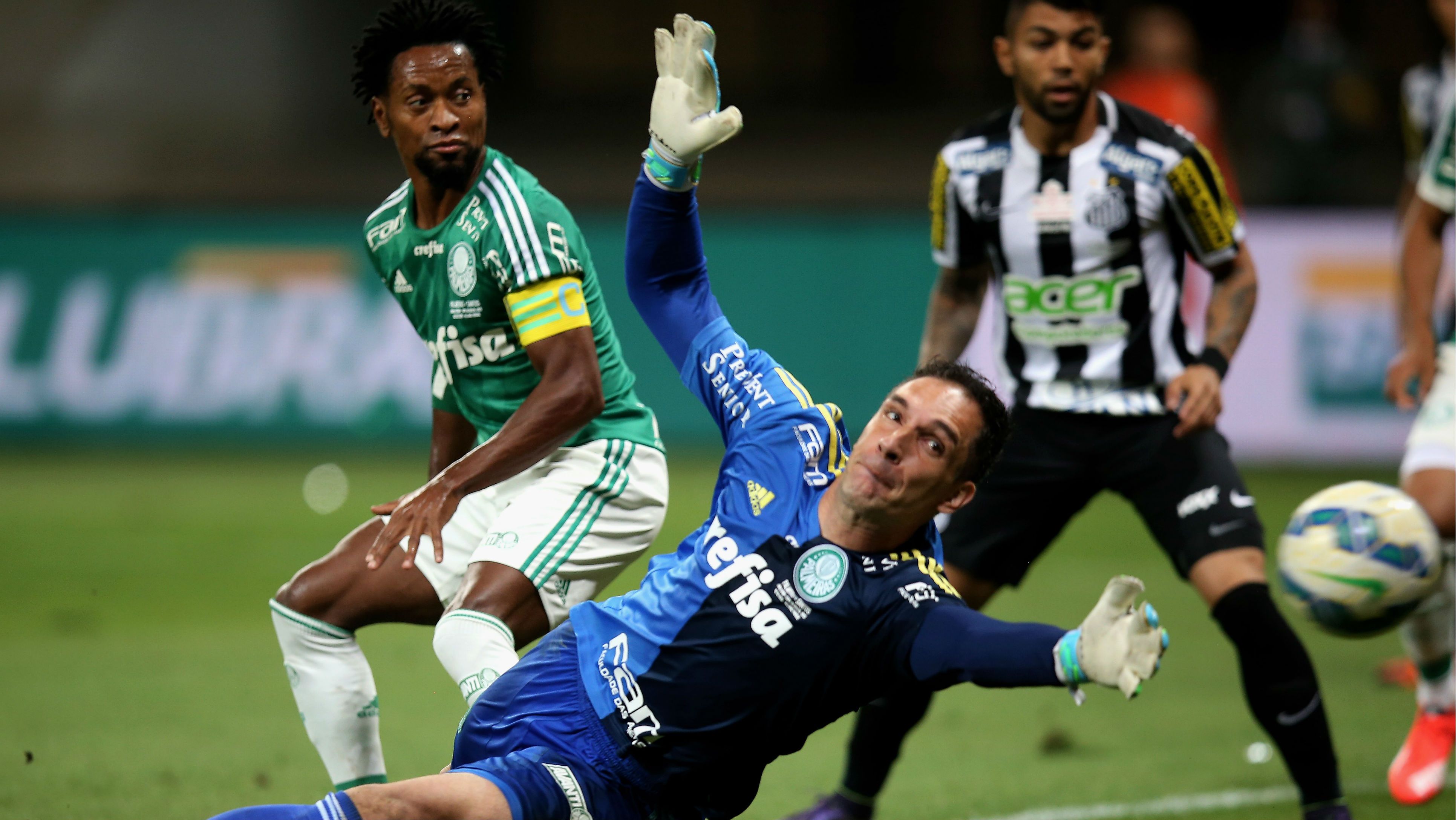 Zé Roberto Prass Palmeiras Santos 02122015