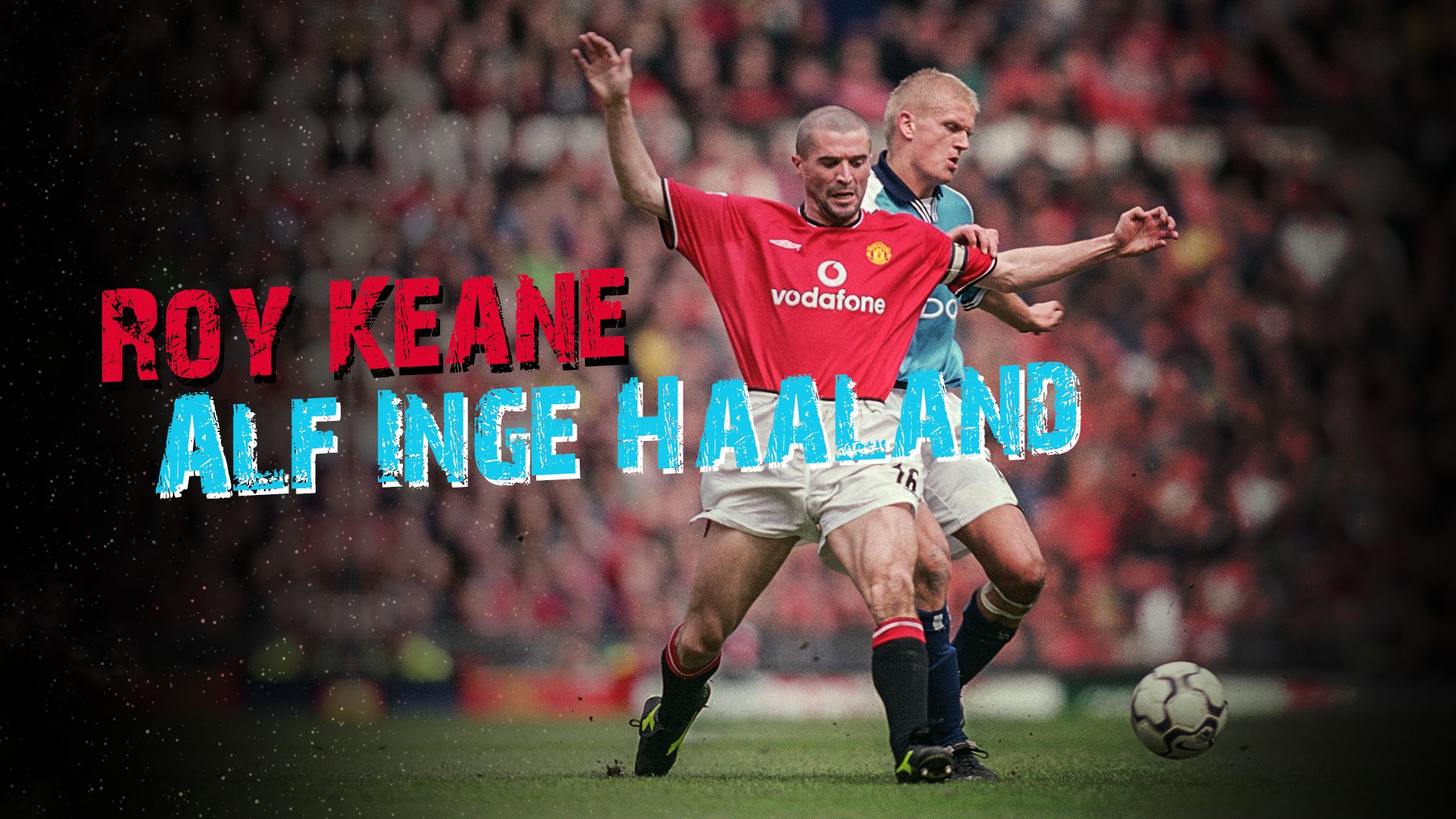 Alf Inge Haaland GFX