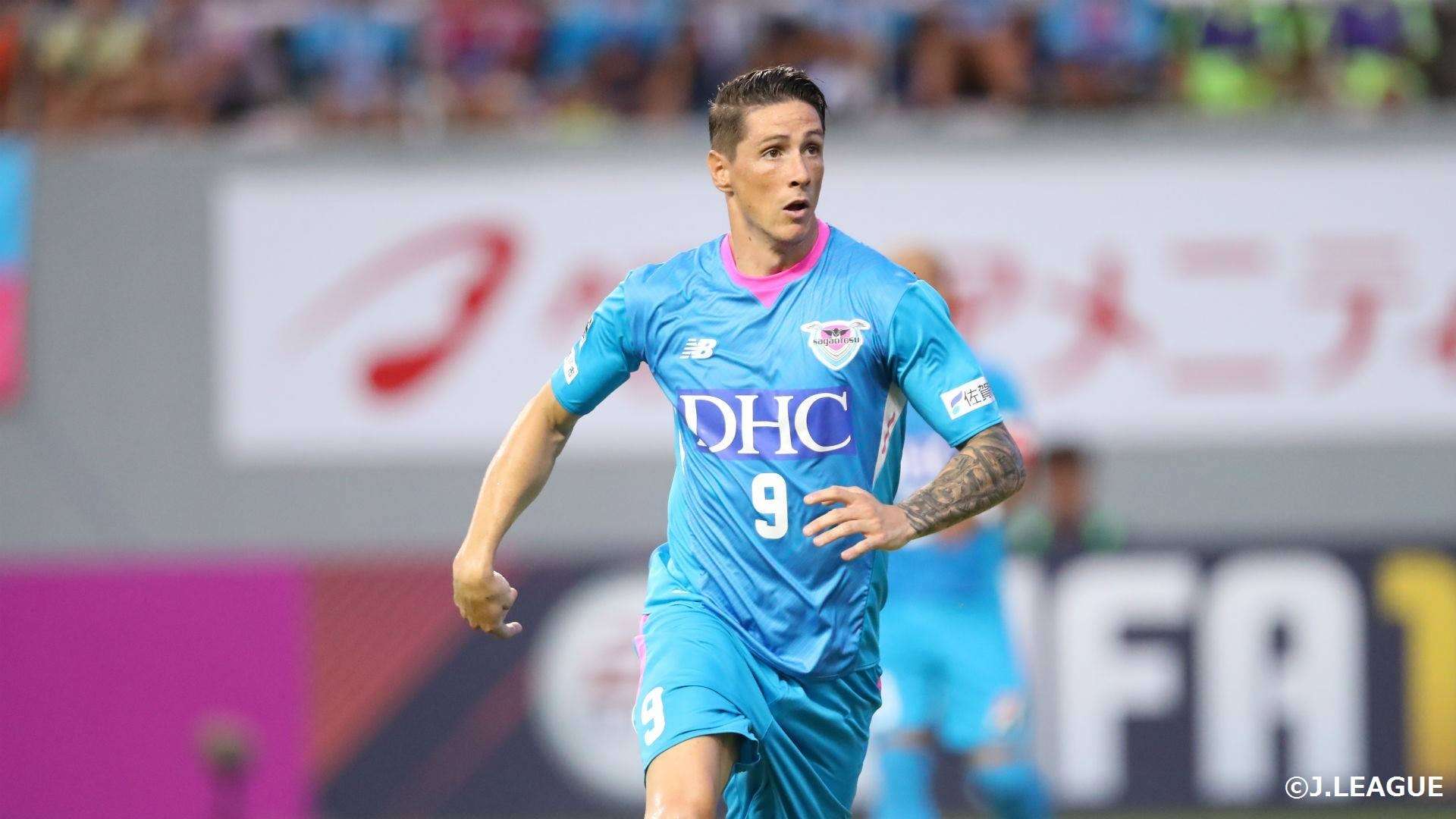 เฟร์นานโด ตอร์เรส