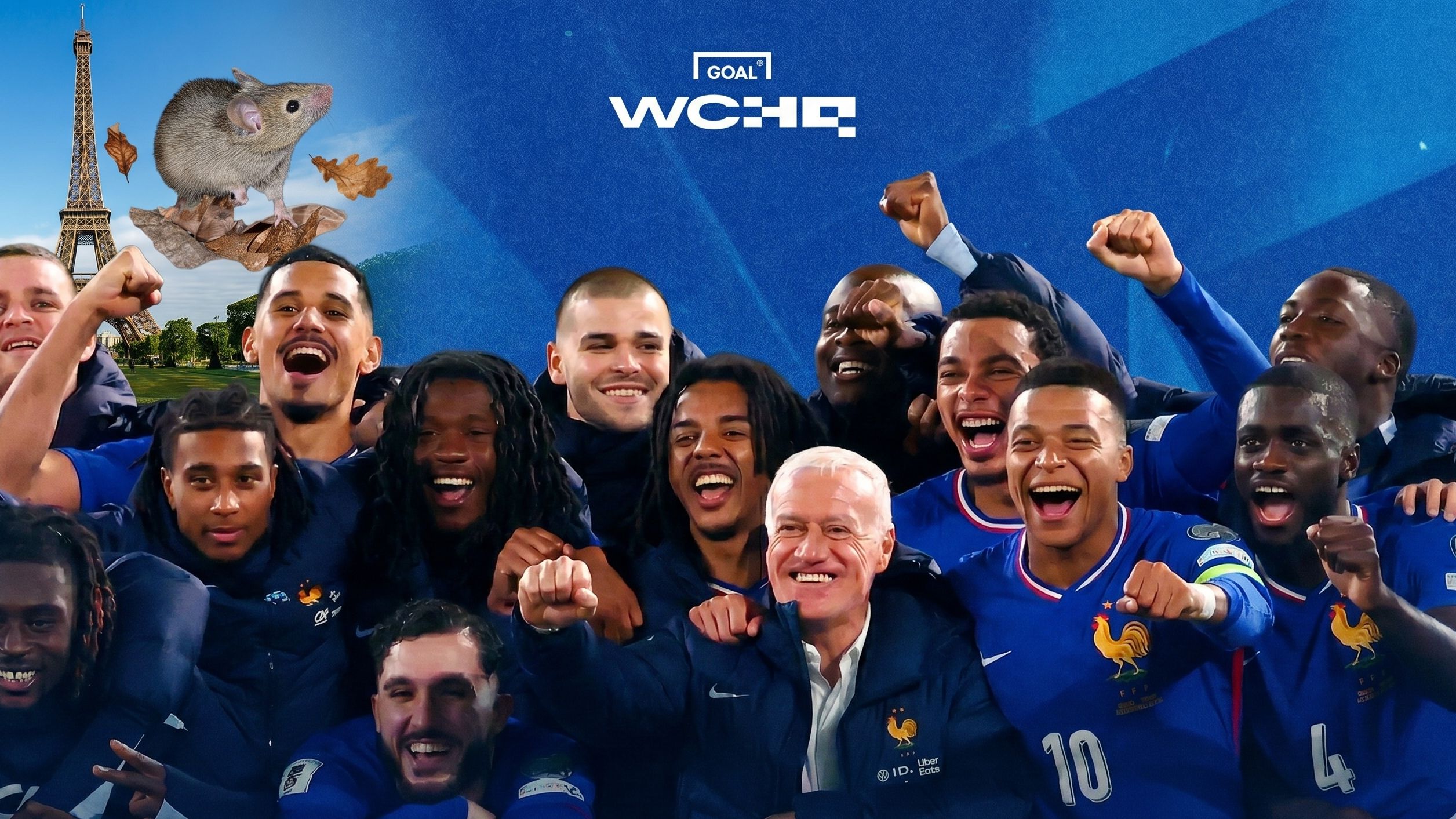 World Cup France (Goal Only)