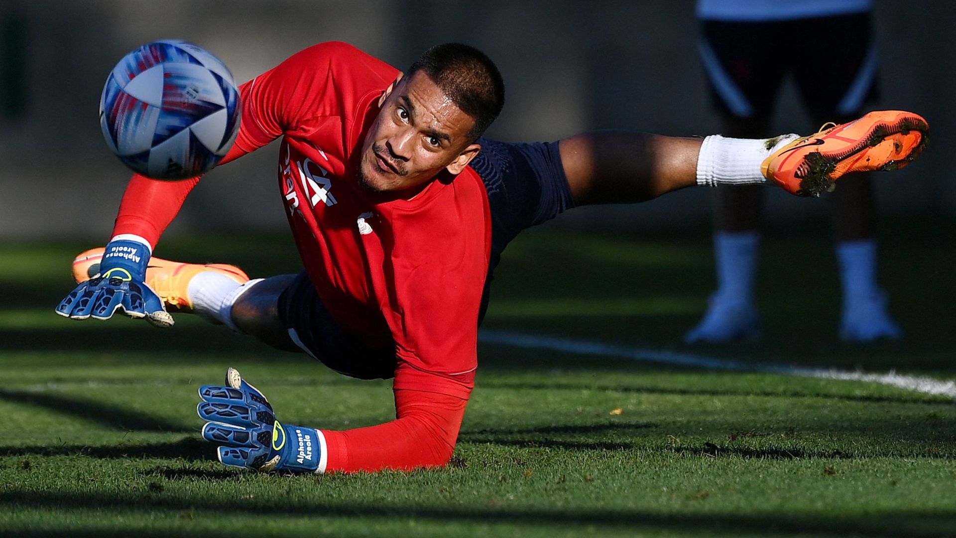Alphonse Areola France