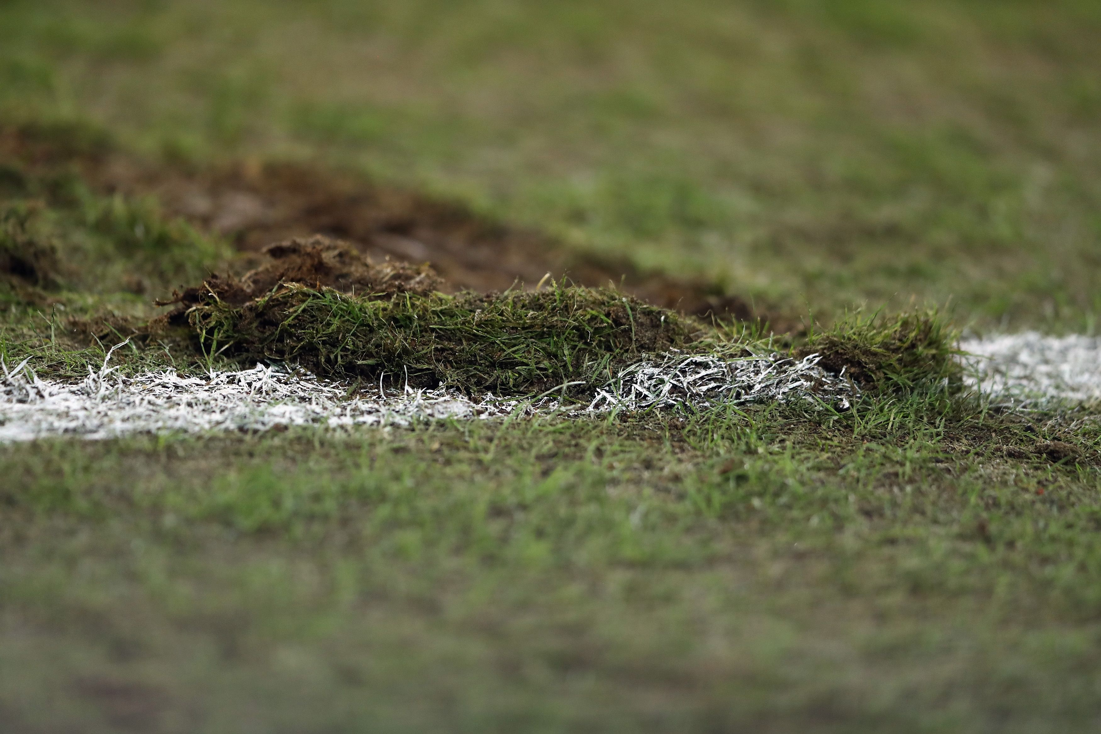 Rasen Wiese Spielfeld