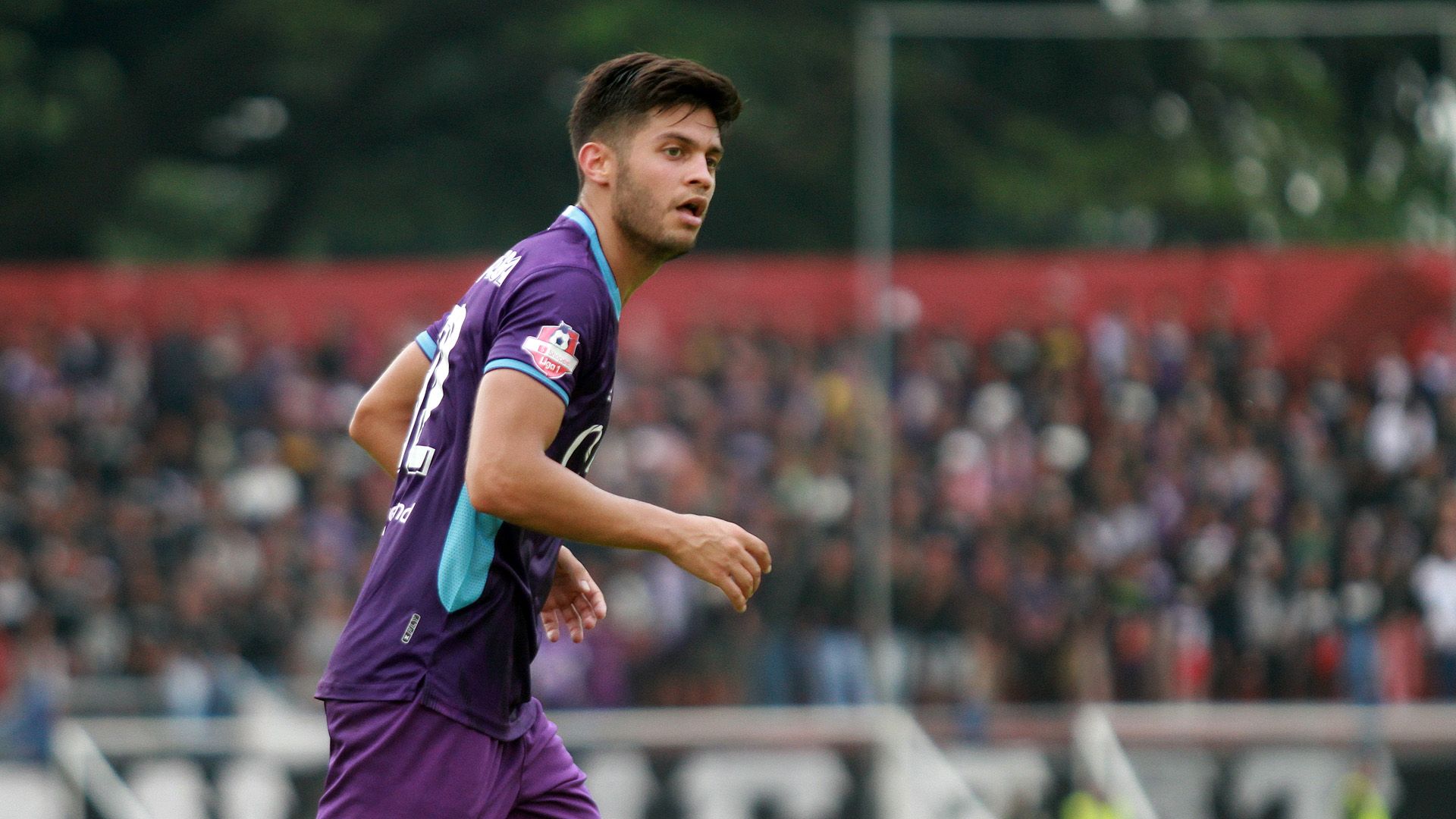 Gaspar Vega - Persik