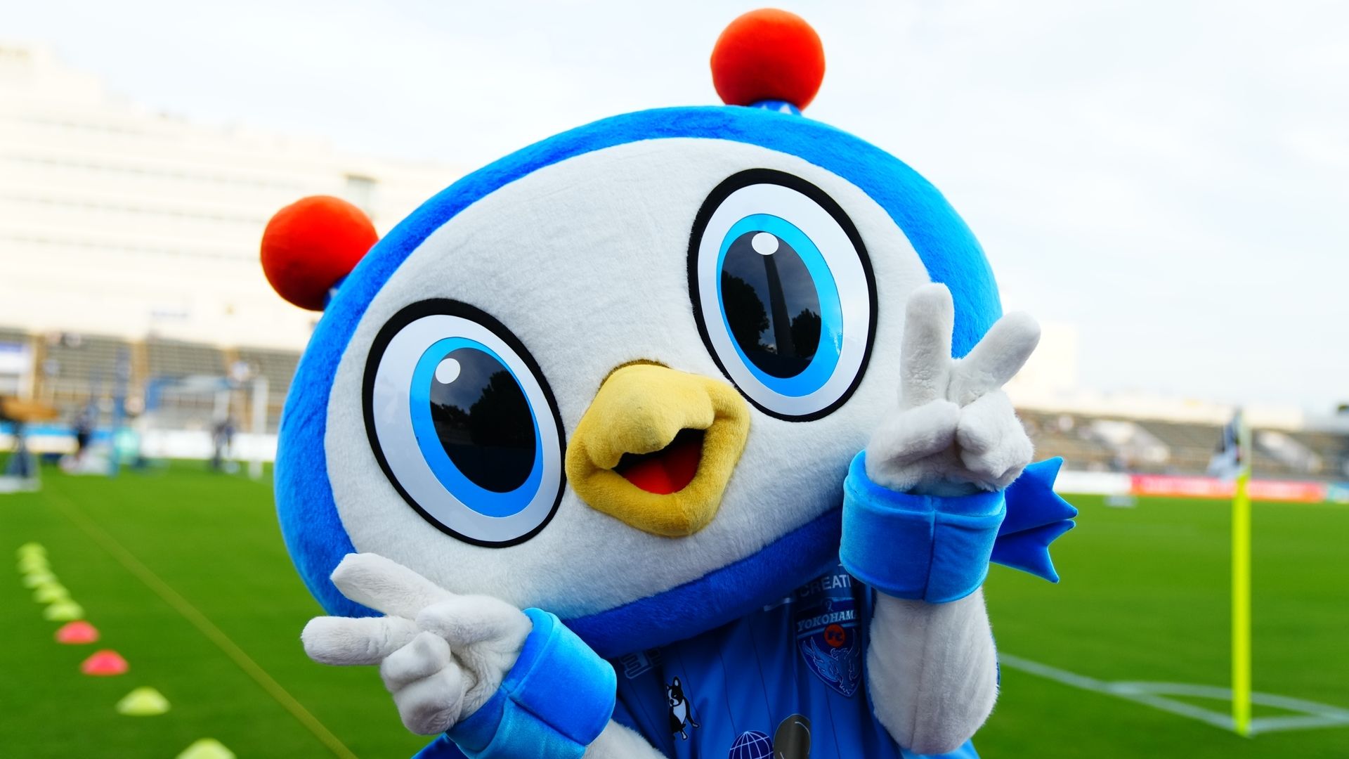 Yokohama FC_mascot