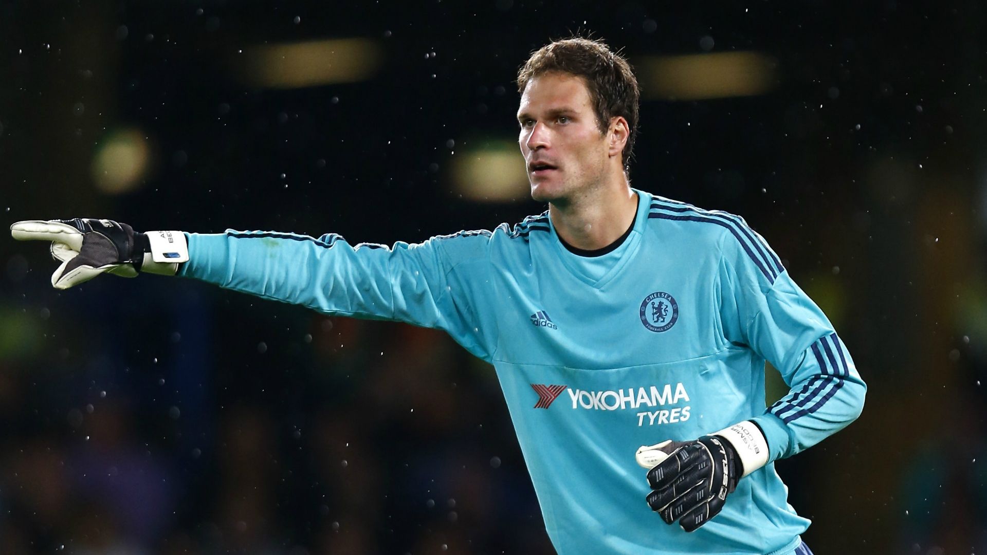 Asmir Begovic