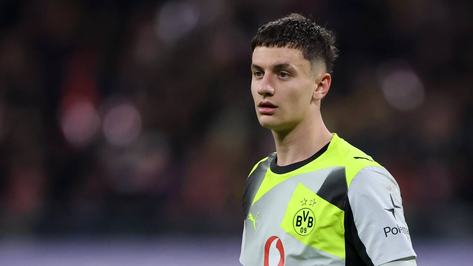 Luca Reggiani BVB