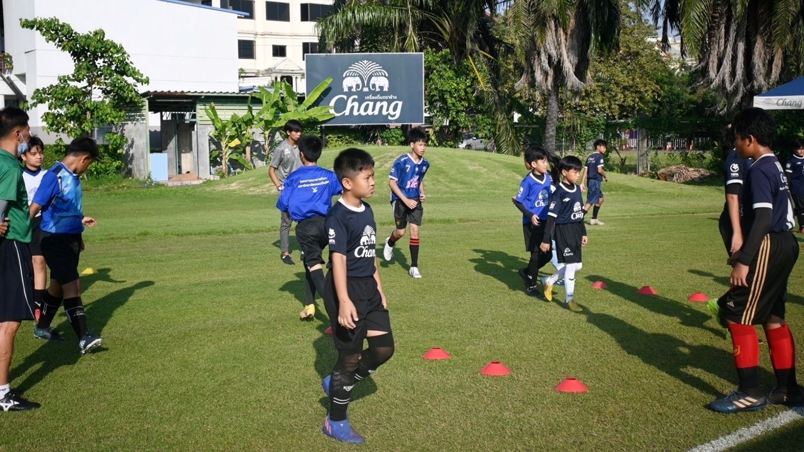 เครื่องดื่มตราช้าง