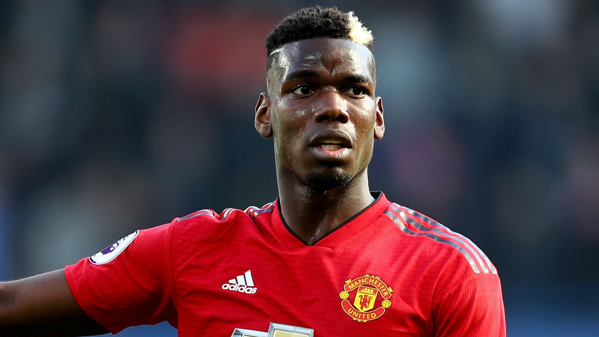 Paul Pogba Manchester United 2018-19