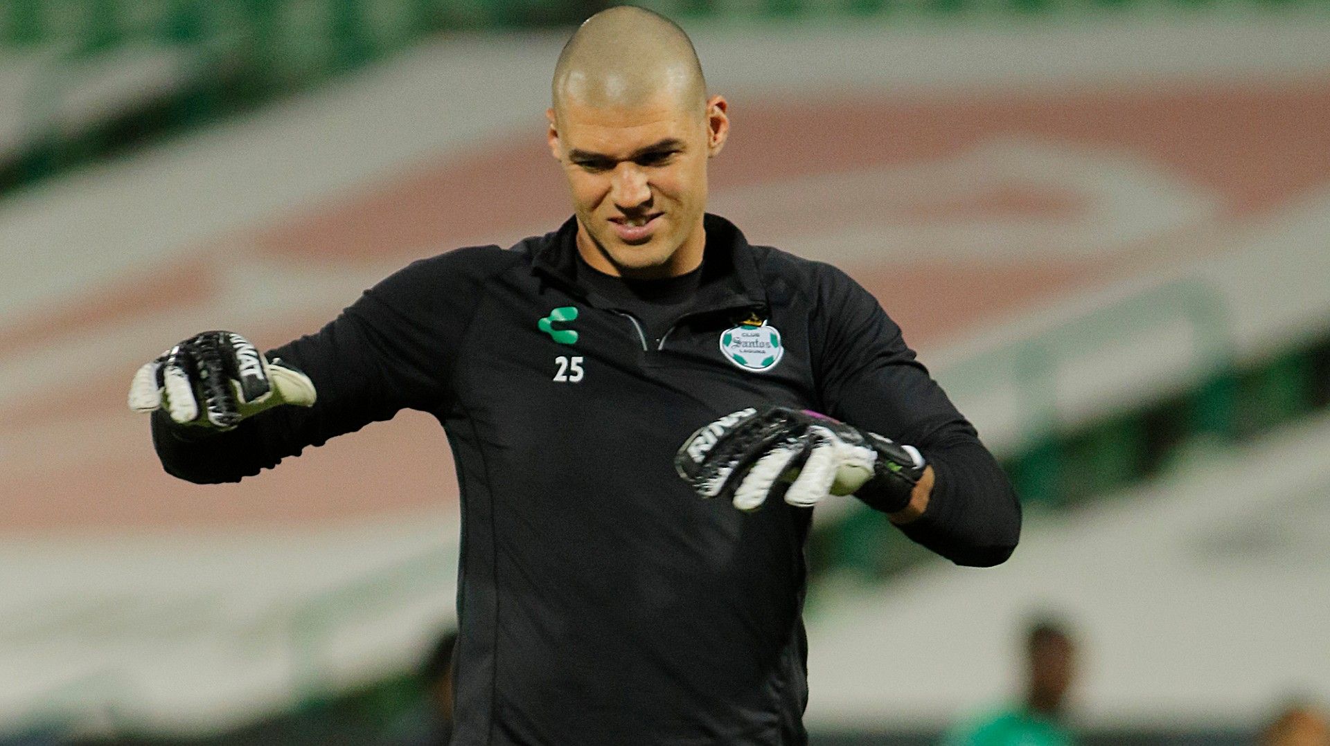 Gibrán Lajud Santos