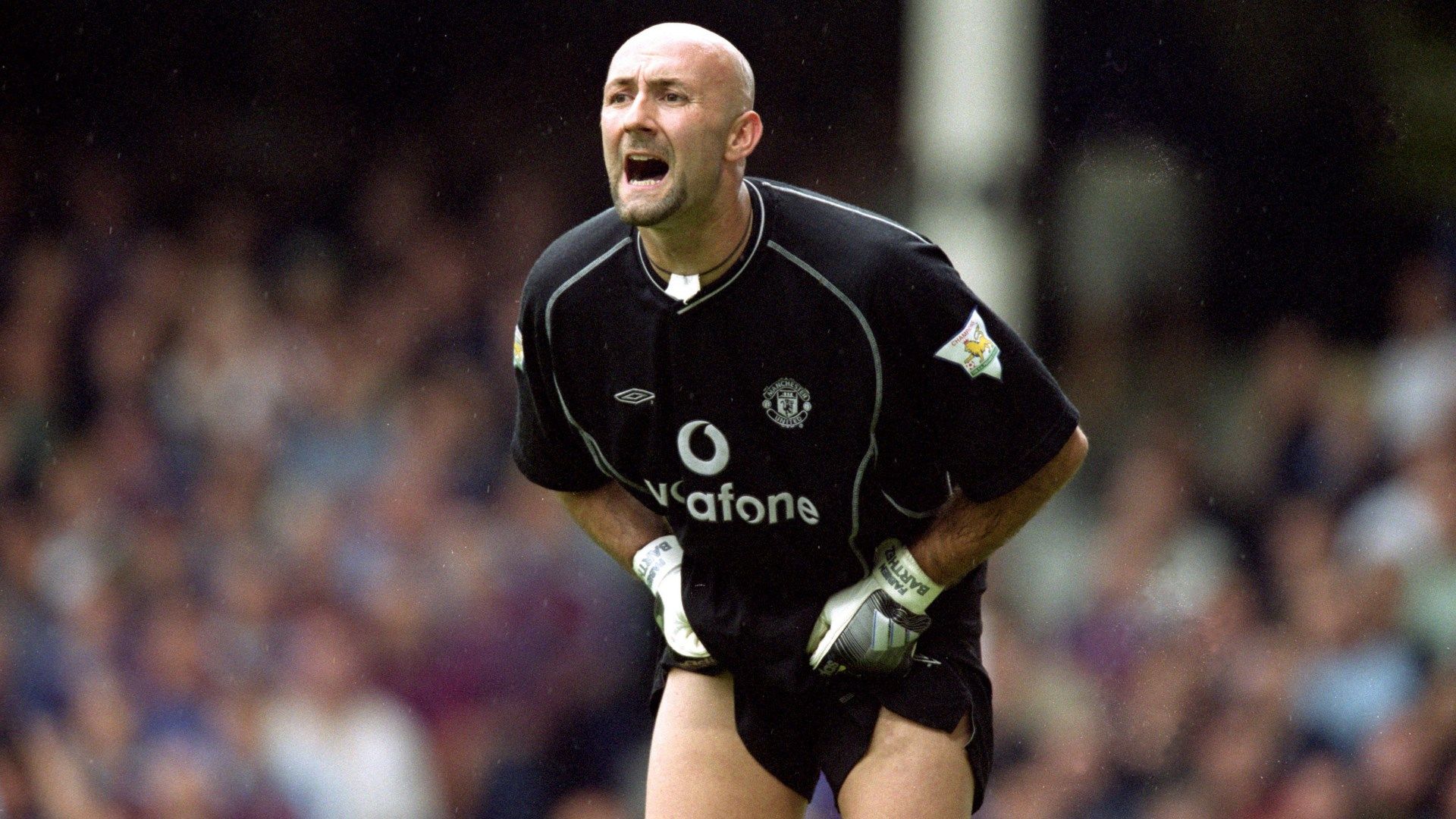 Fabian Barthez 2003