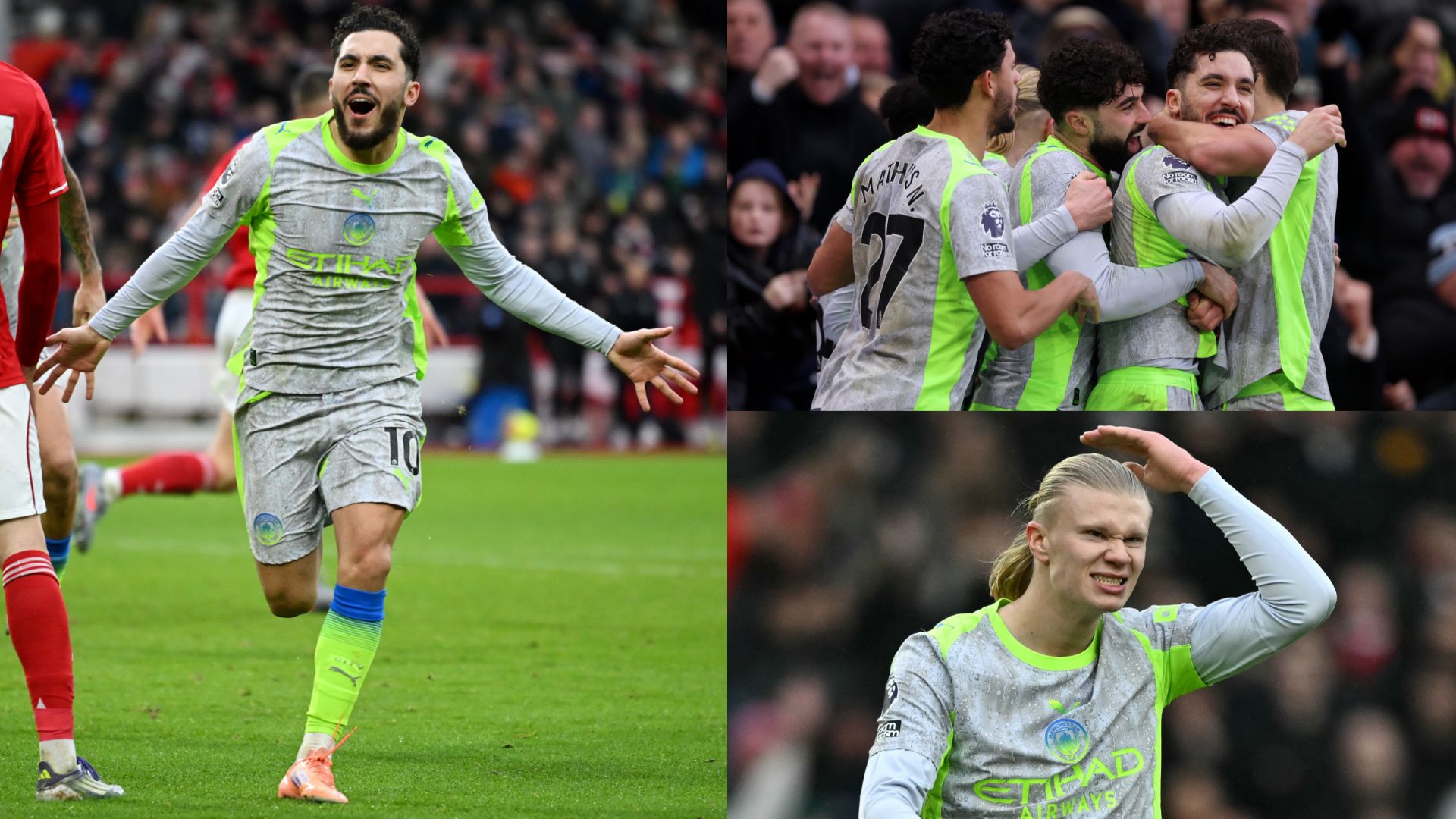 Citeh forest ratings