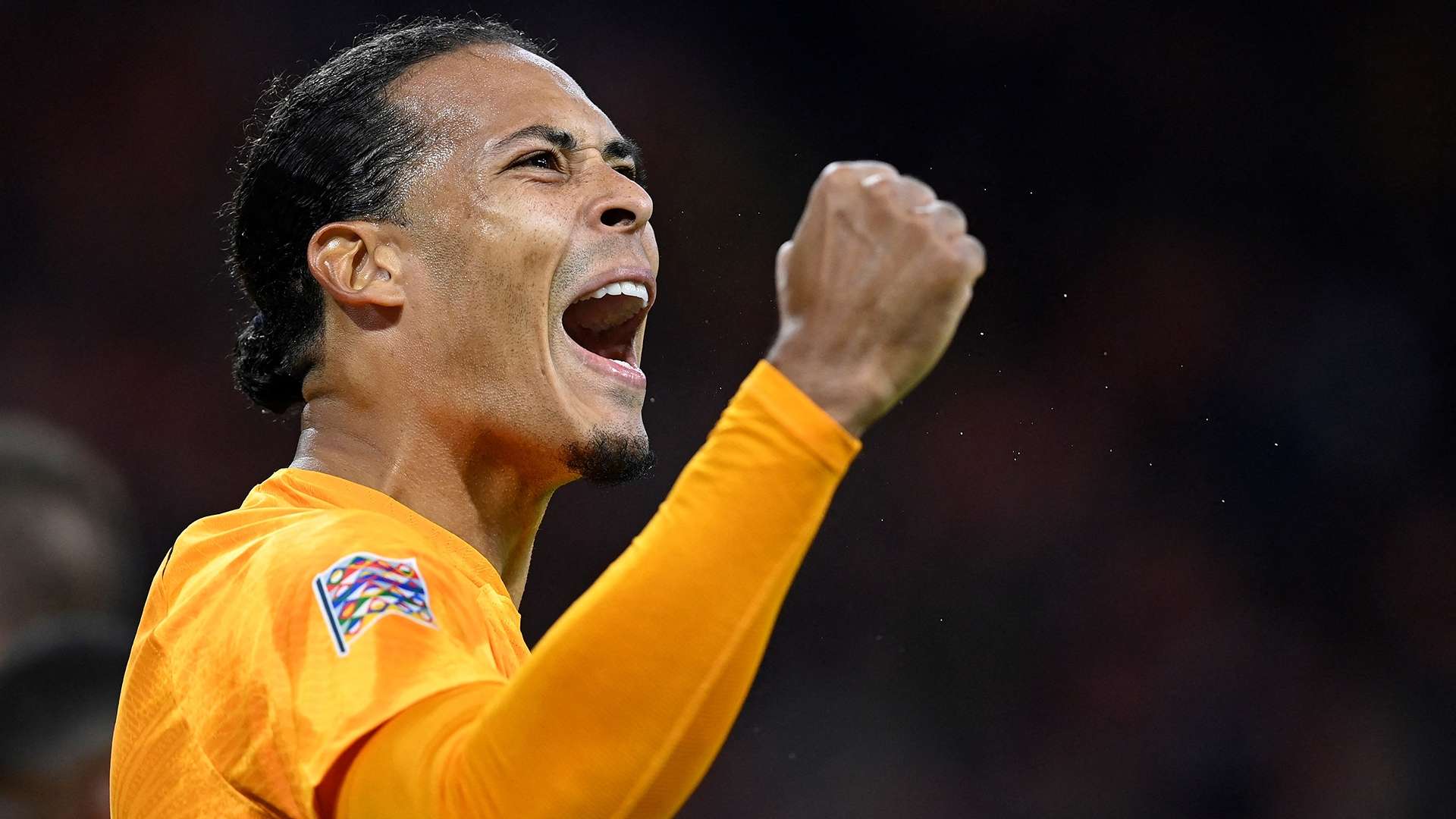 Virgil van Dijk Netherlands