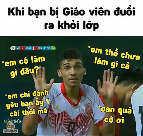 Ảnh chế Việt Nam