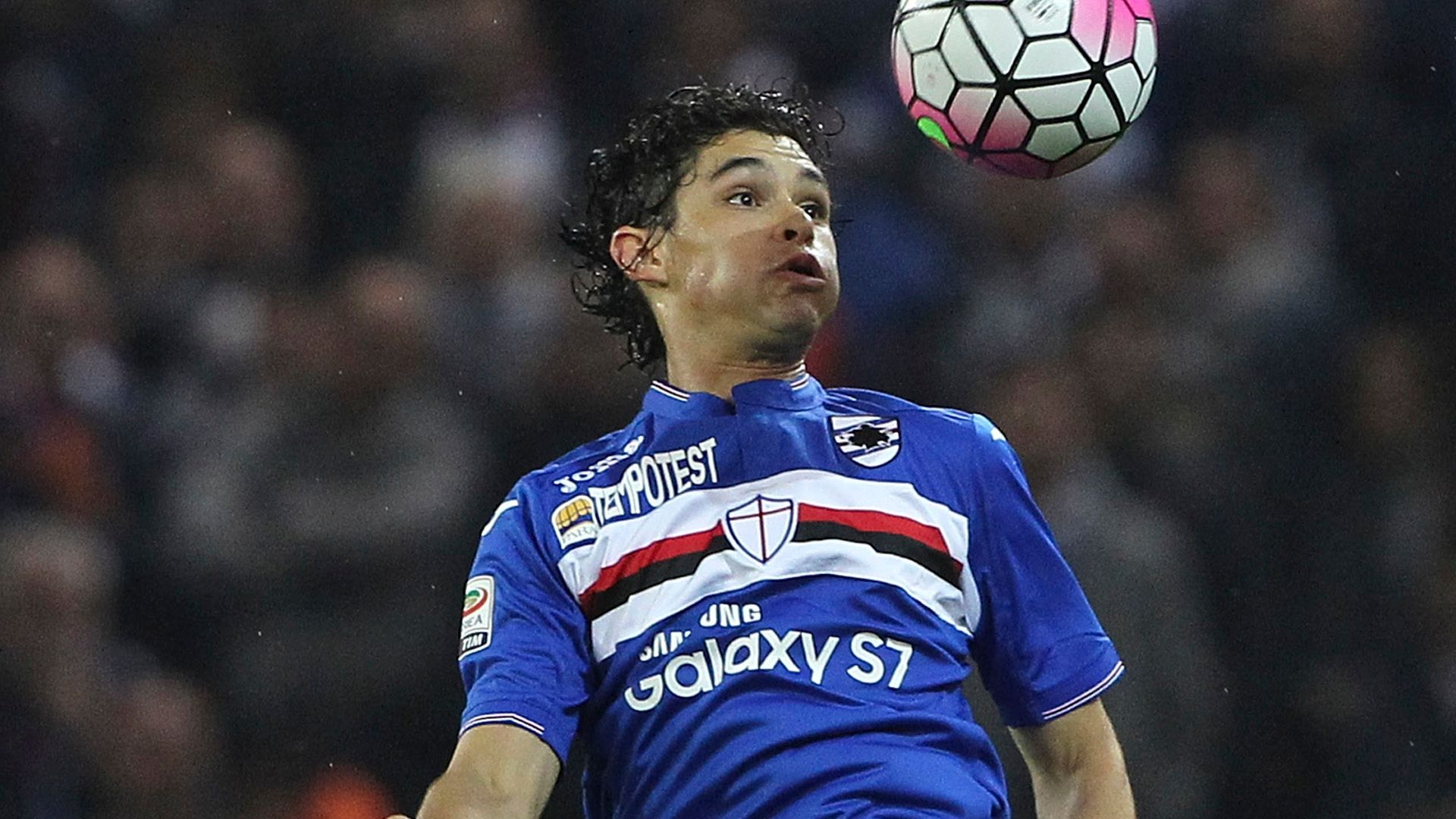 Dodo Sampdoria 2016