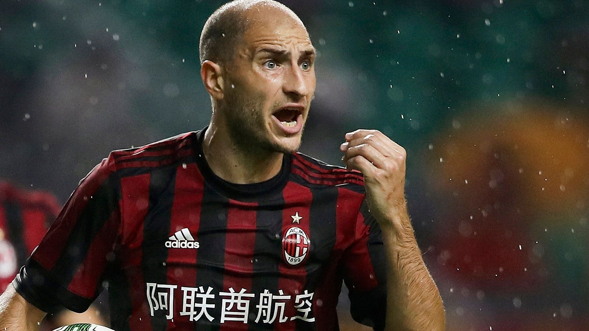 2019-11-08 2017 Gabriel Paletta
