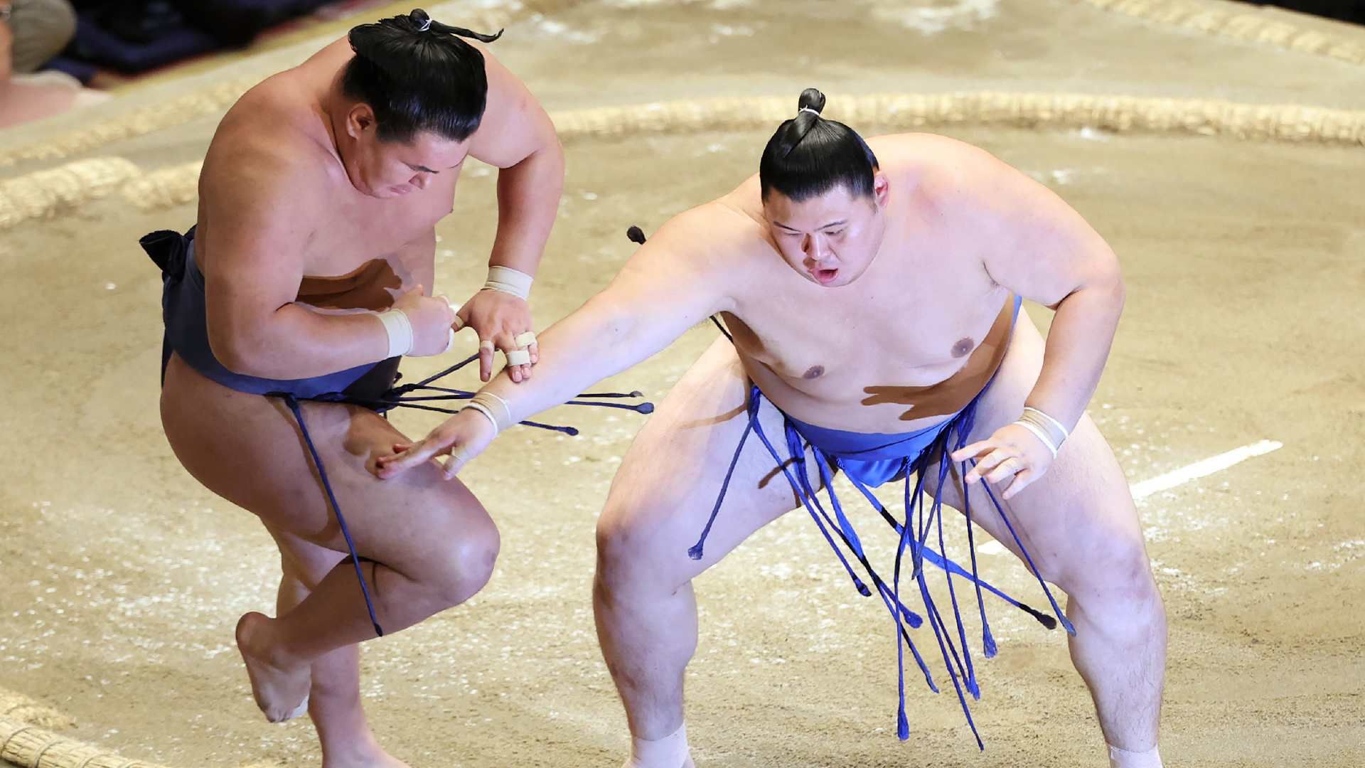 sumo