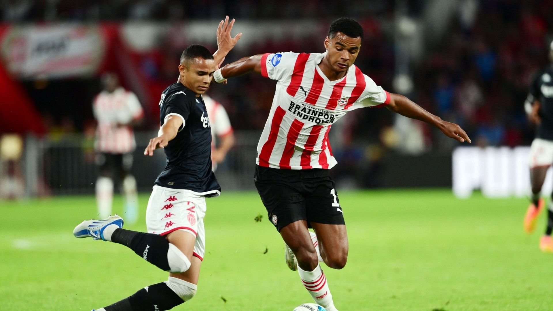 Gakpo-PSV-Monaco-Champions-League