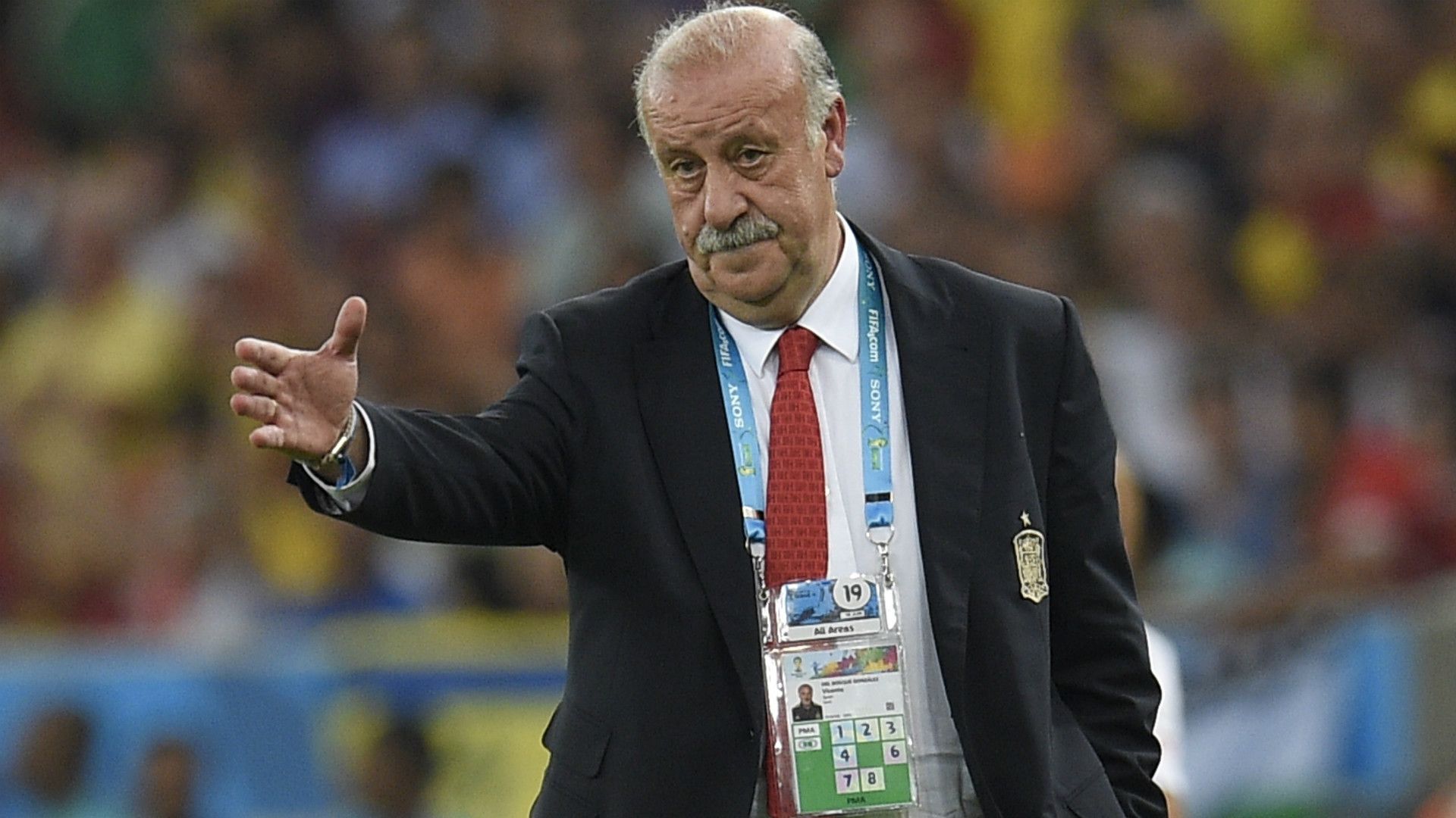 Vicente del Bosque Spain Chile WC 2014