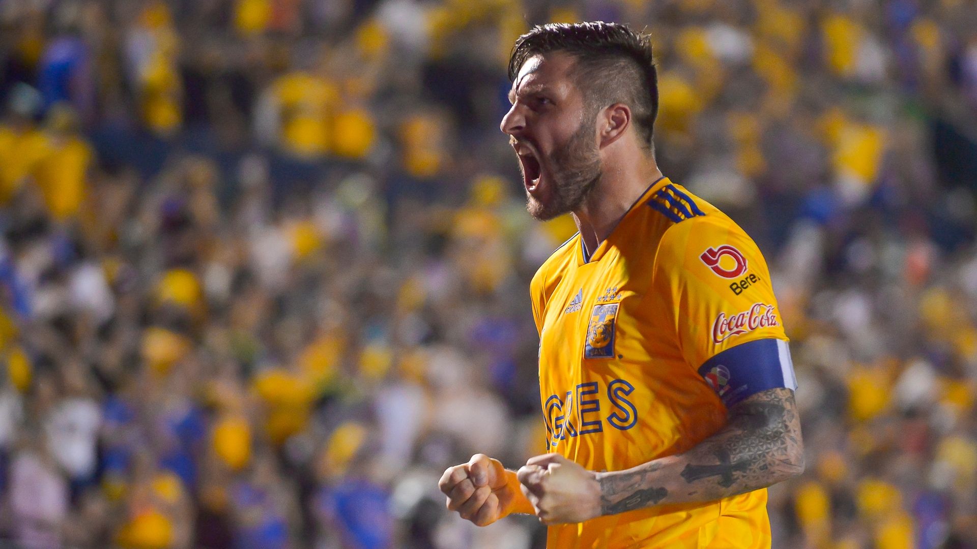 Gignac Tigres 17022019