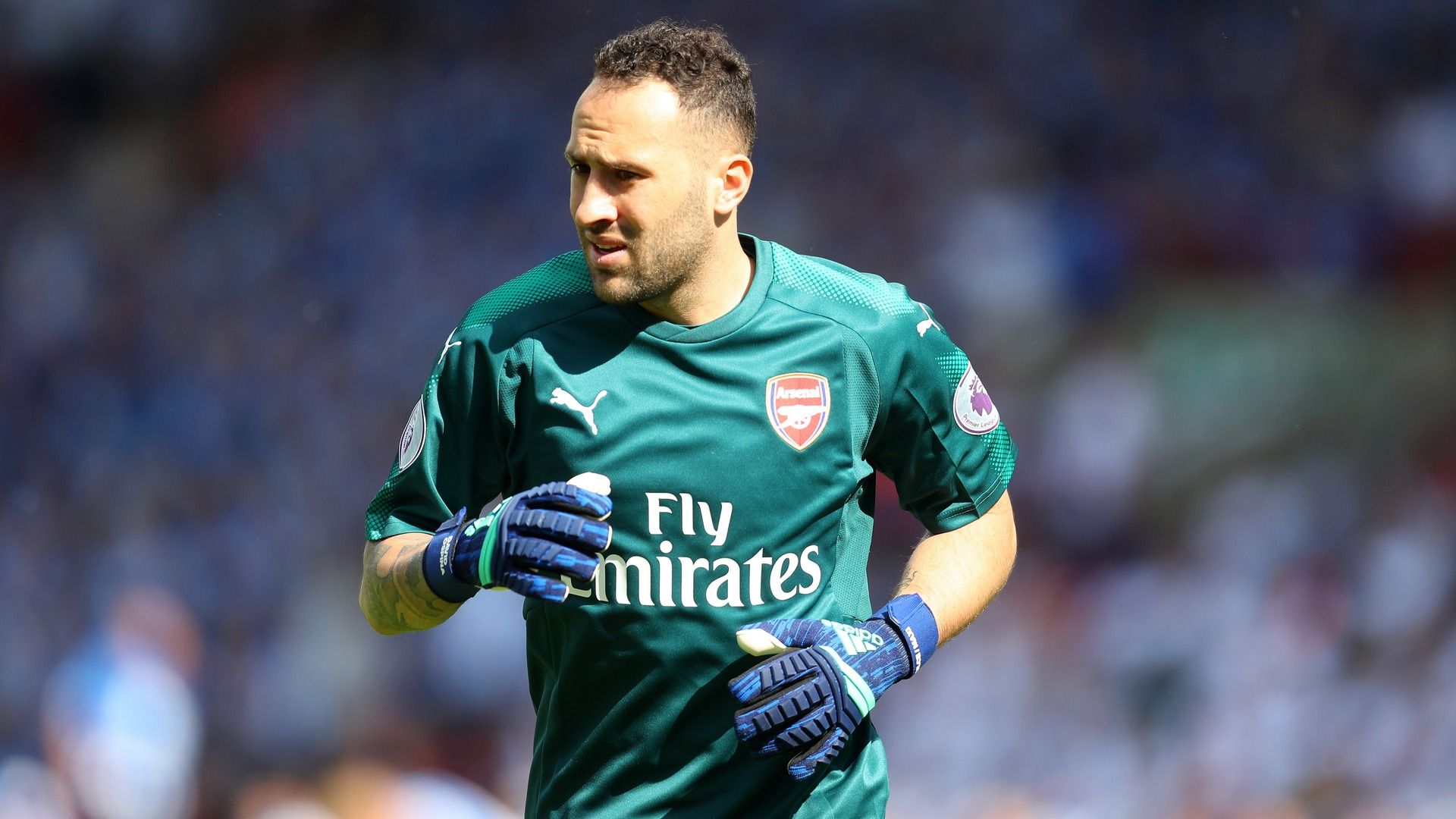 David Ospina Arsenal