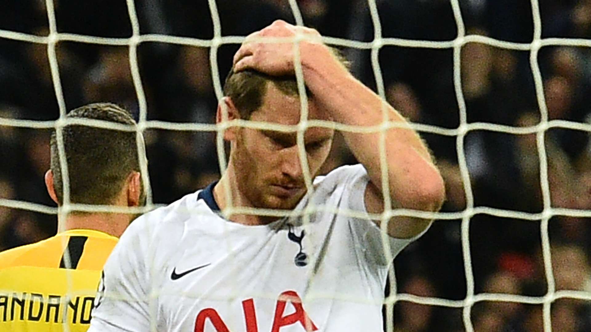 Jan Vertonghen Tottenham 2018-19