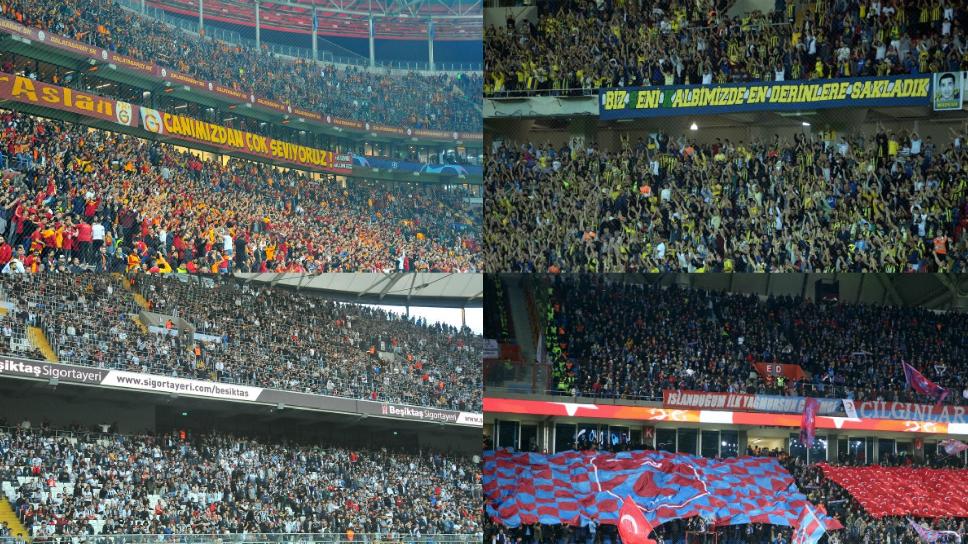 Seyirci Ortalamalari