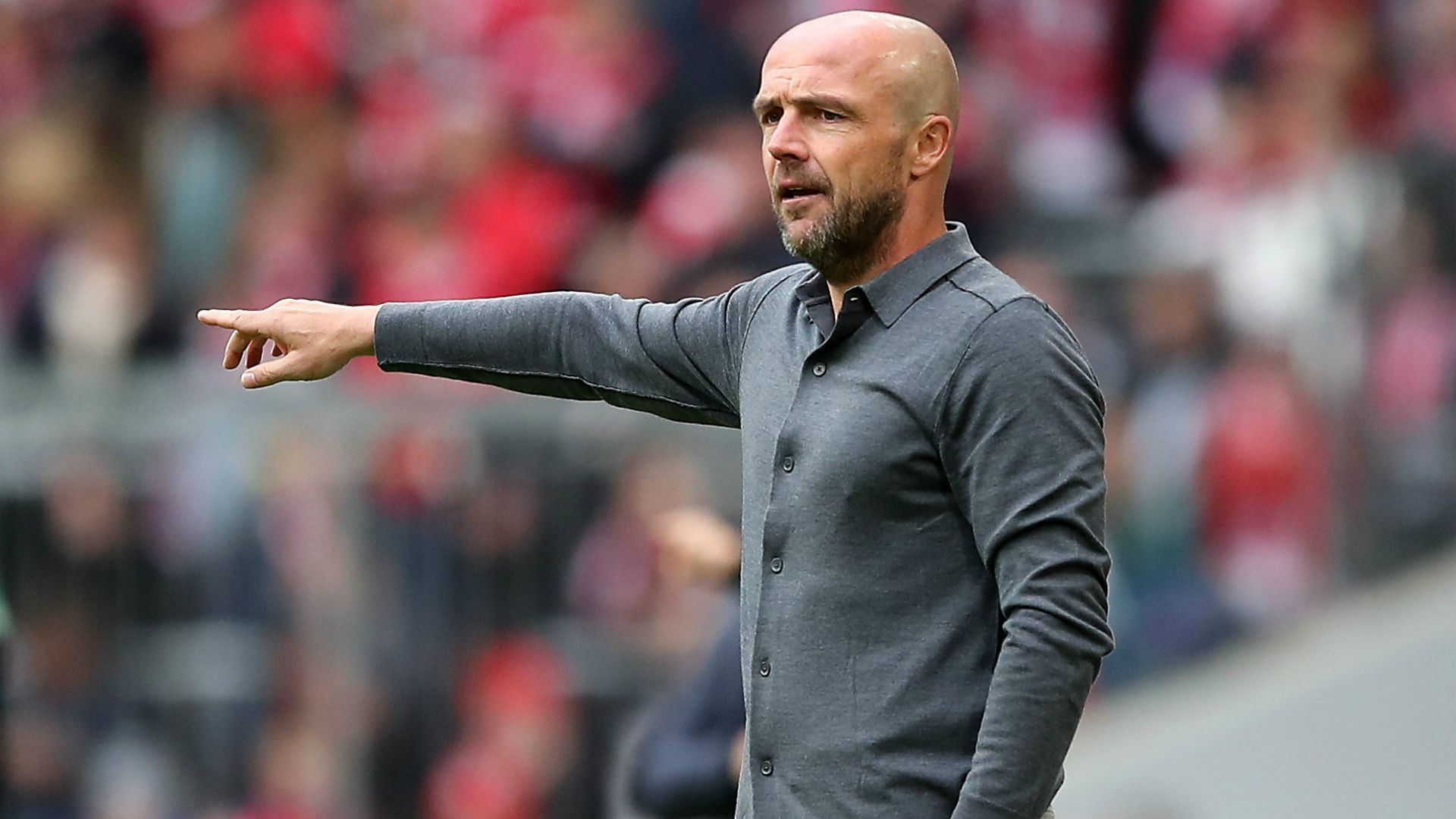 Alfred Schreuder Hoffenheim 10052019