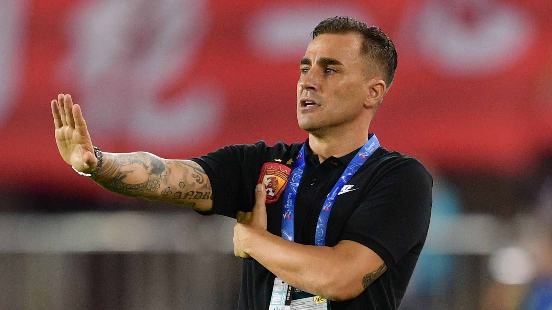 Fabio Cannavaro